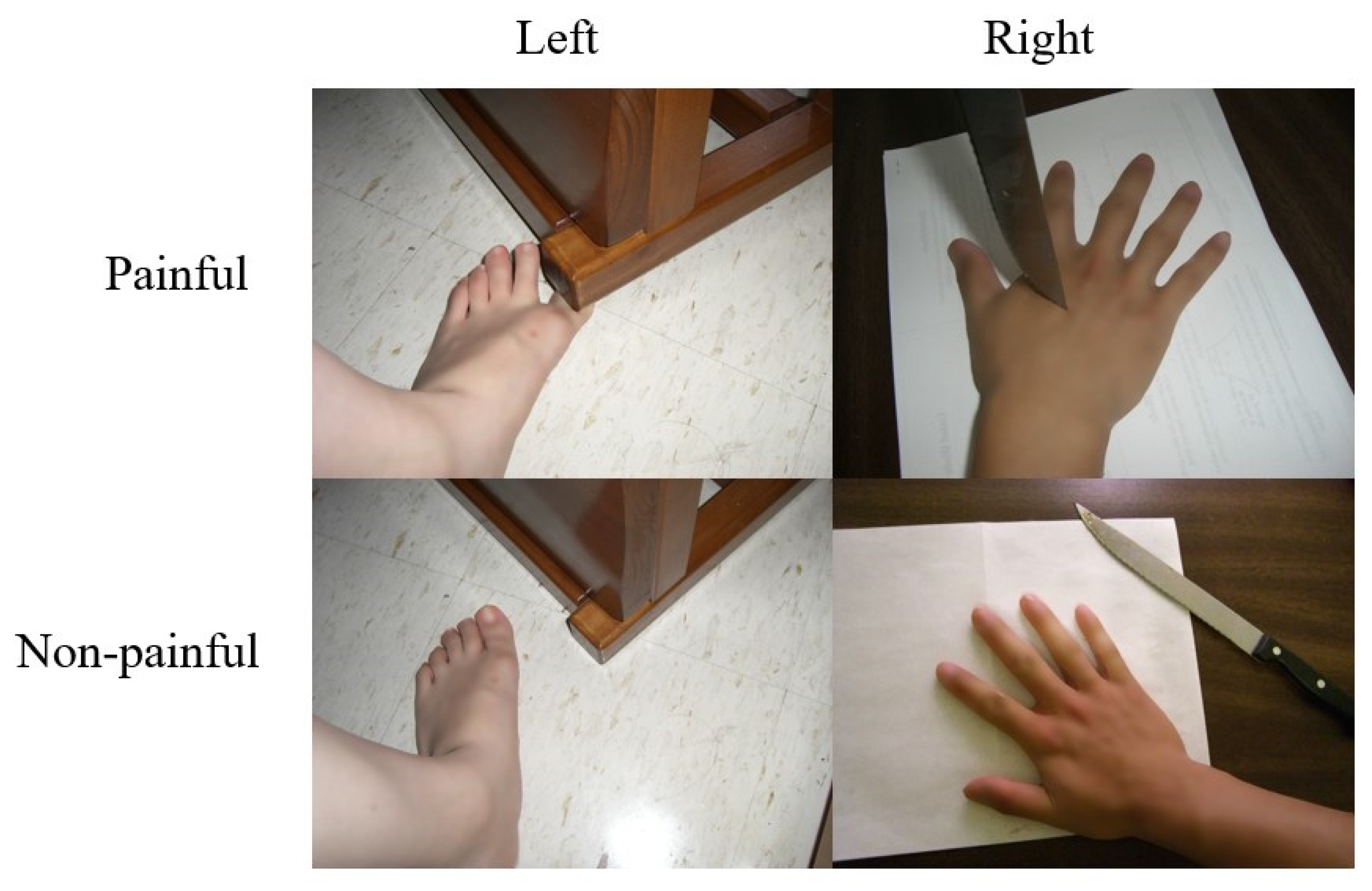 Brainsci 11 01591 g001