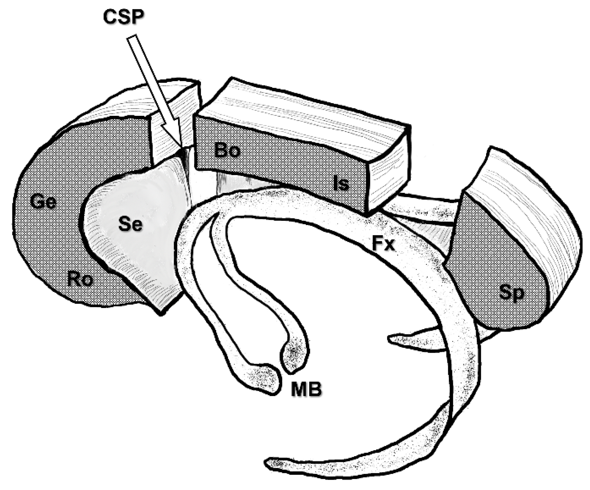 Brainsci 11 01608 g004 Brainsci 11 01608 g004