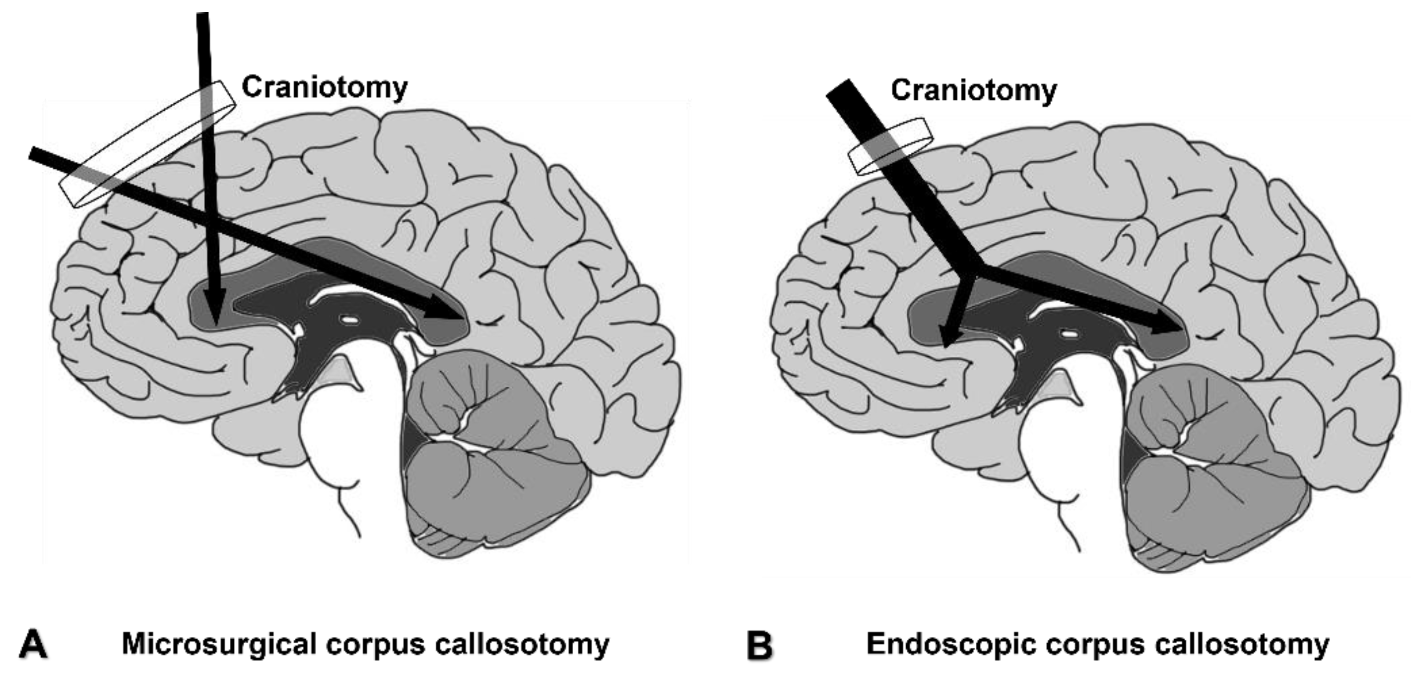 Brainsci 11 01608 g006 Brainsci 11 01608 g006