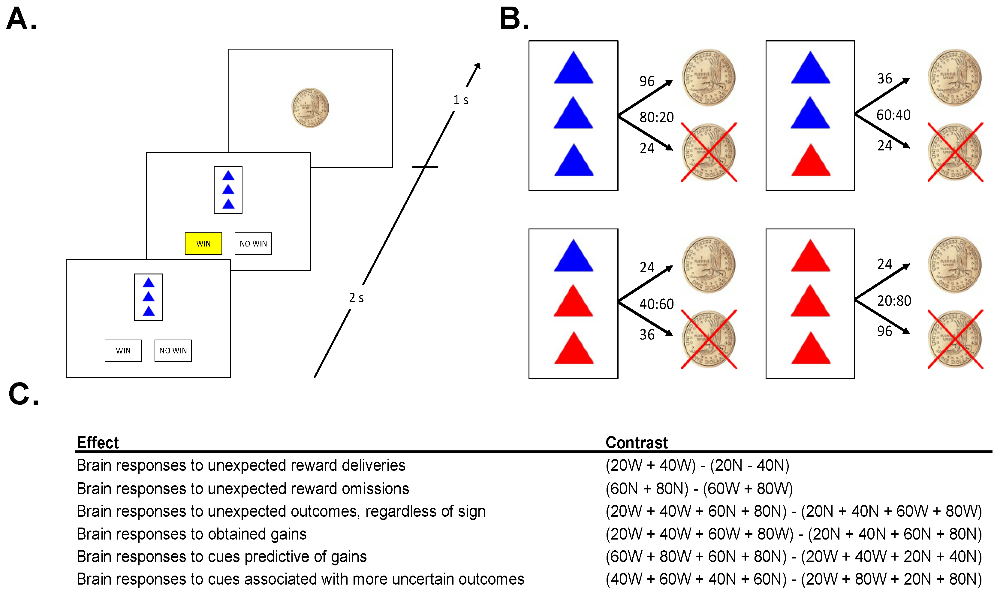 Brainsci 11 01610 g001