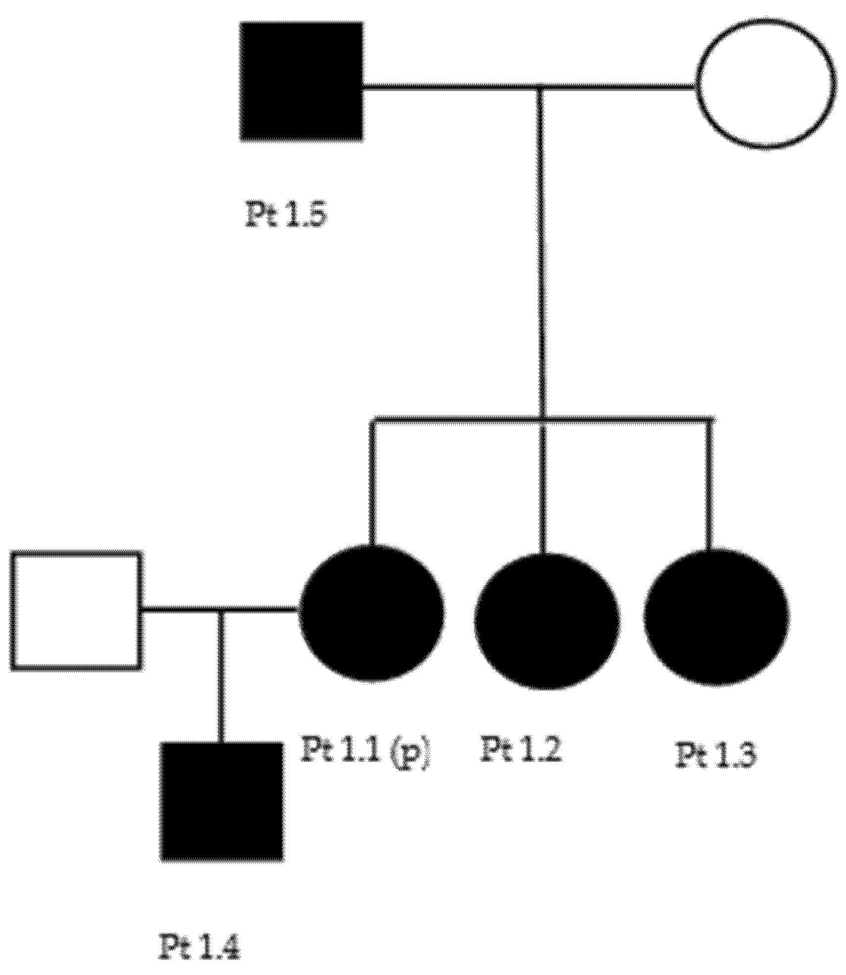 Brainsci 11 01616 g0a1