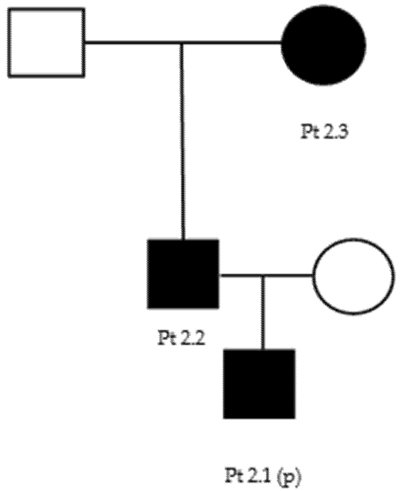 Brainsci 11 01616 g0a2