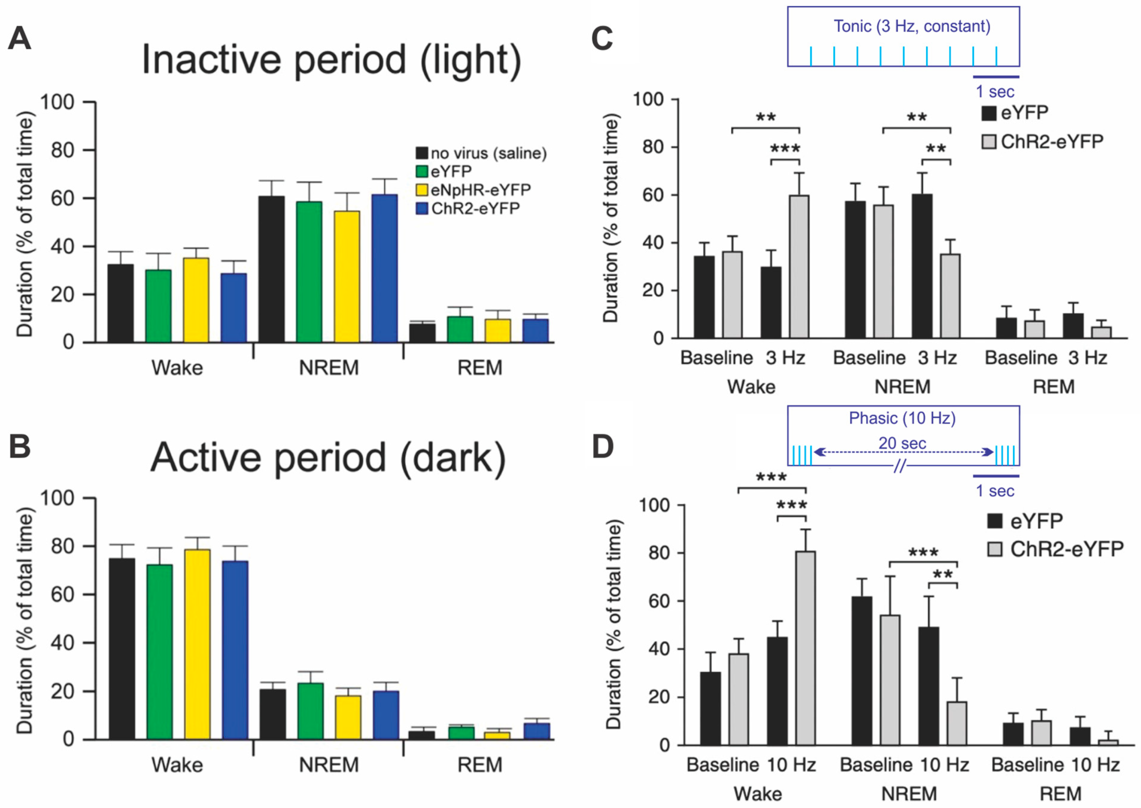 Brainsci 11 01624 g001