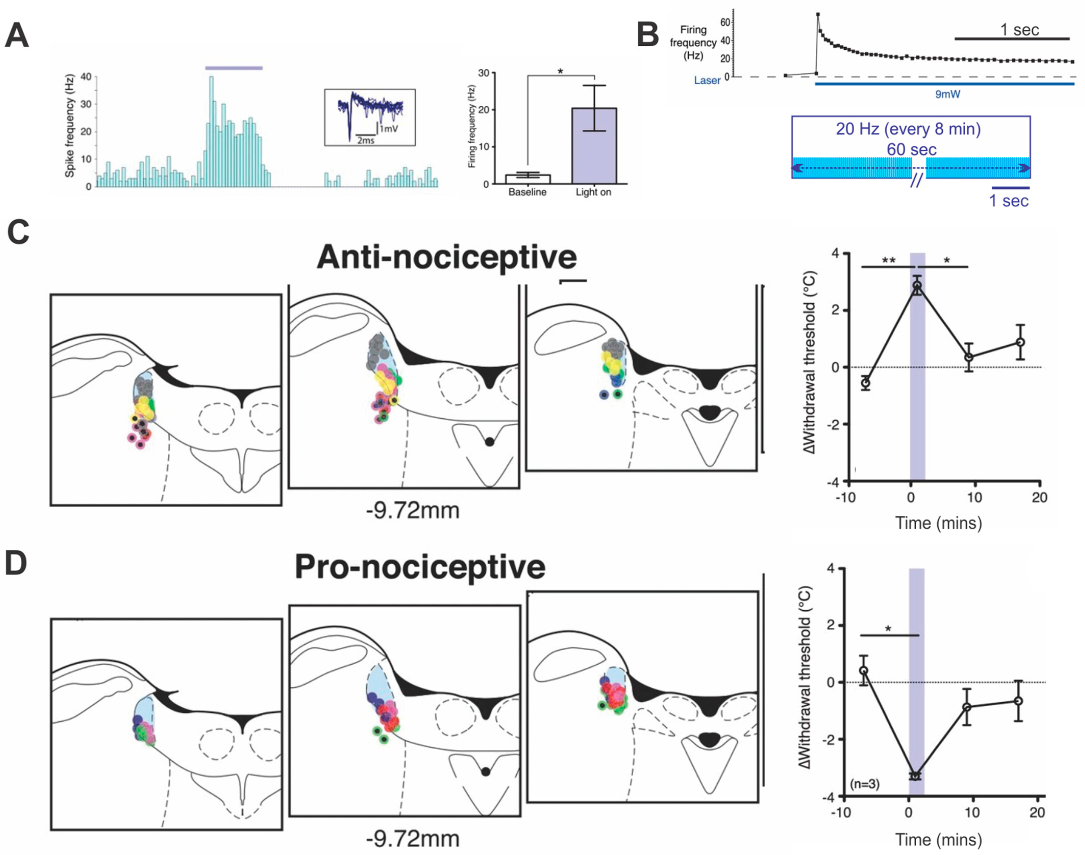 Brainsci 11 01624 g002