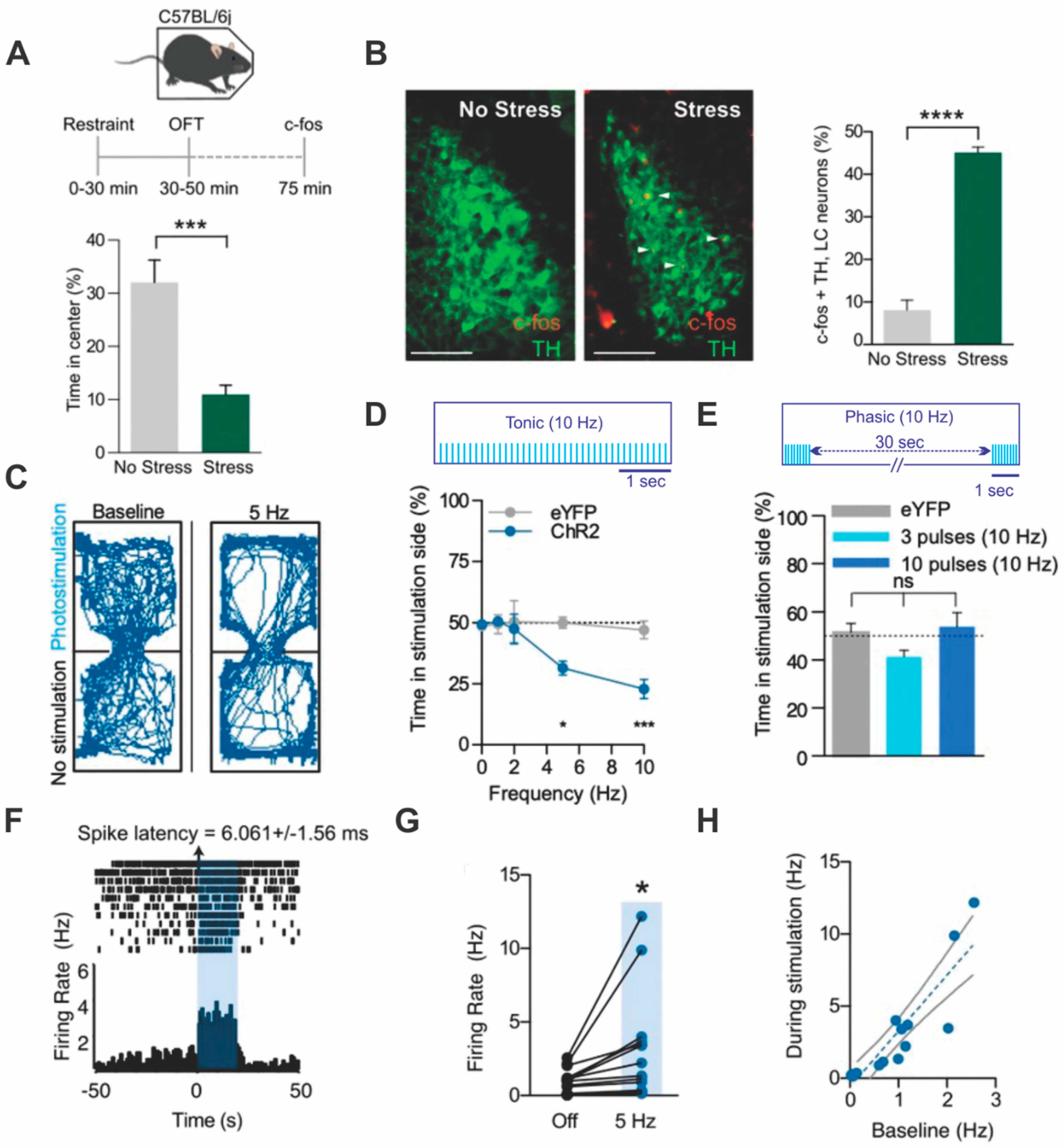Brainsci 11 01624 g003