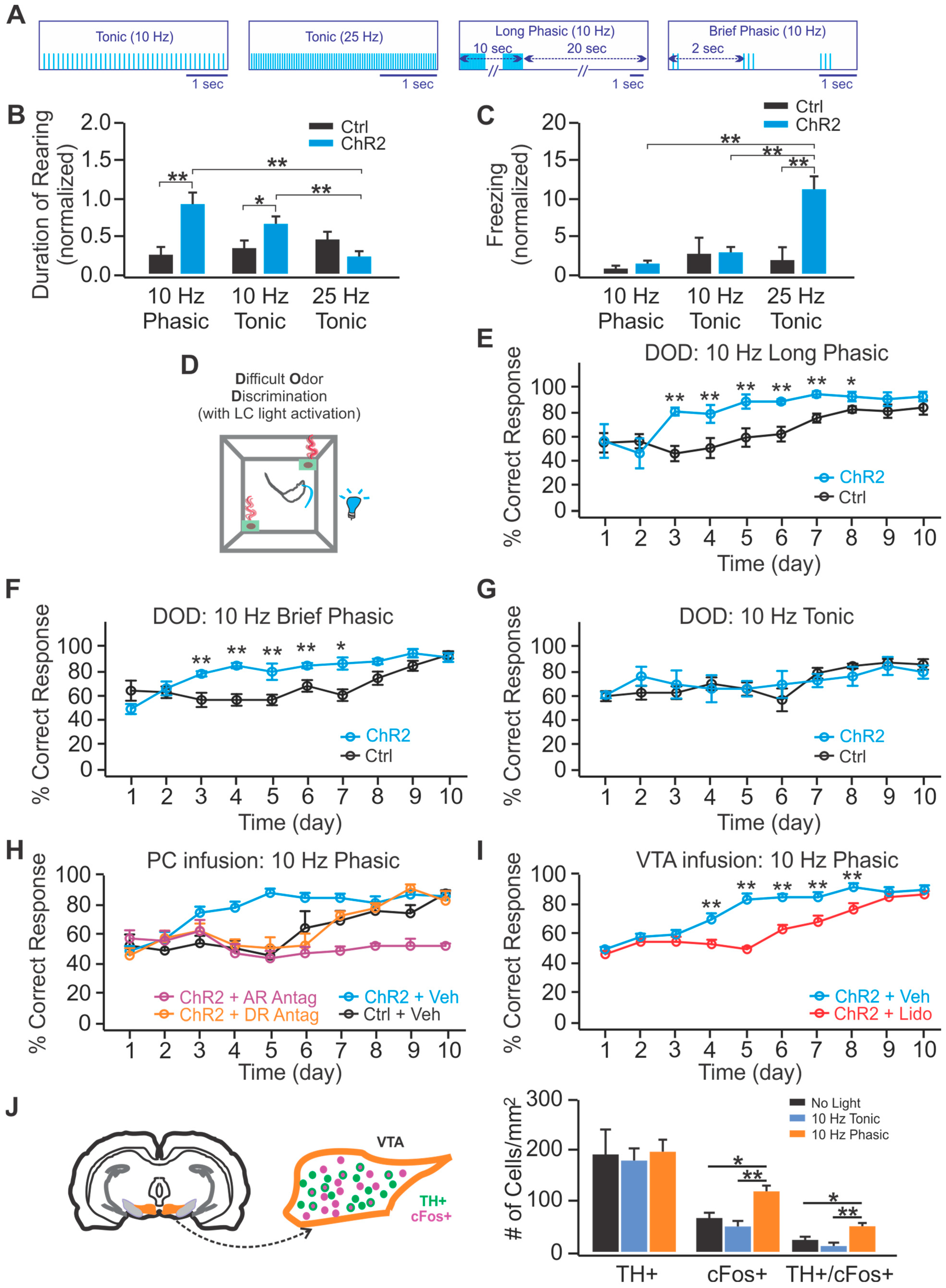 Brainsci 11 01624 g005