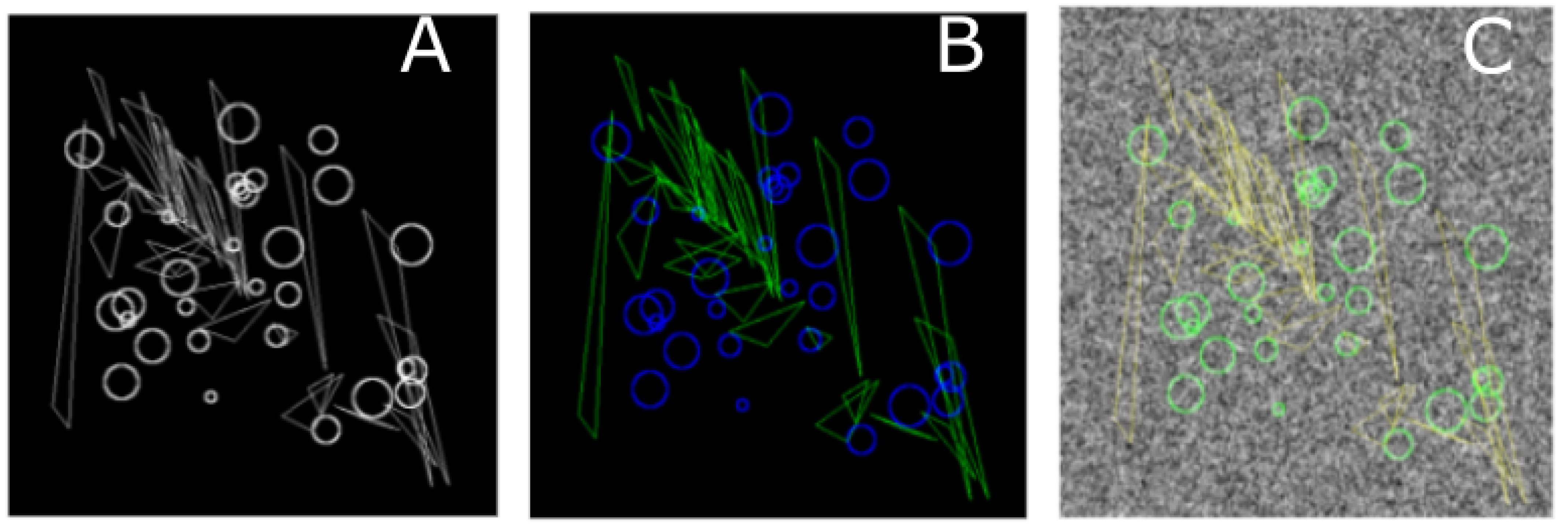 Brainsci 11 01645 g004 Brainsci 11 01645 g004