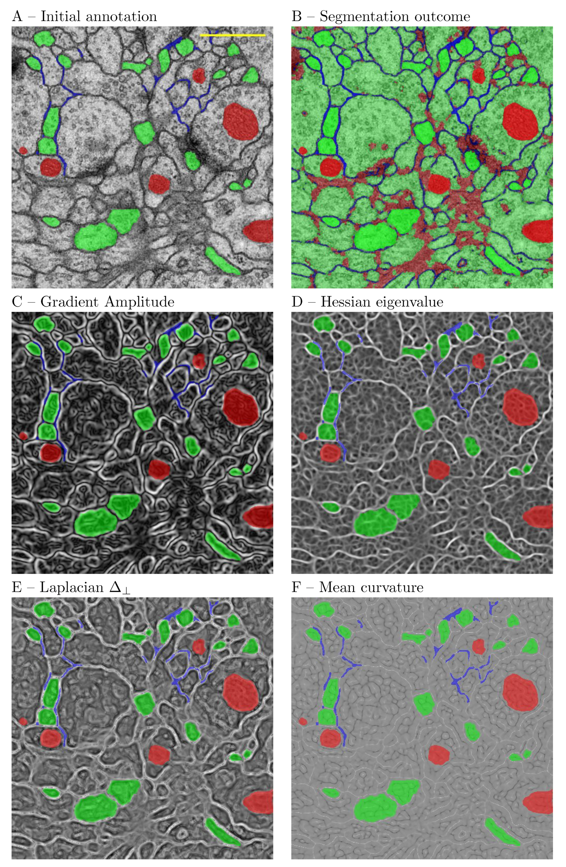Brainsci 11 01645 g008 Brainsci 11 01645 g008
