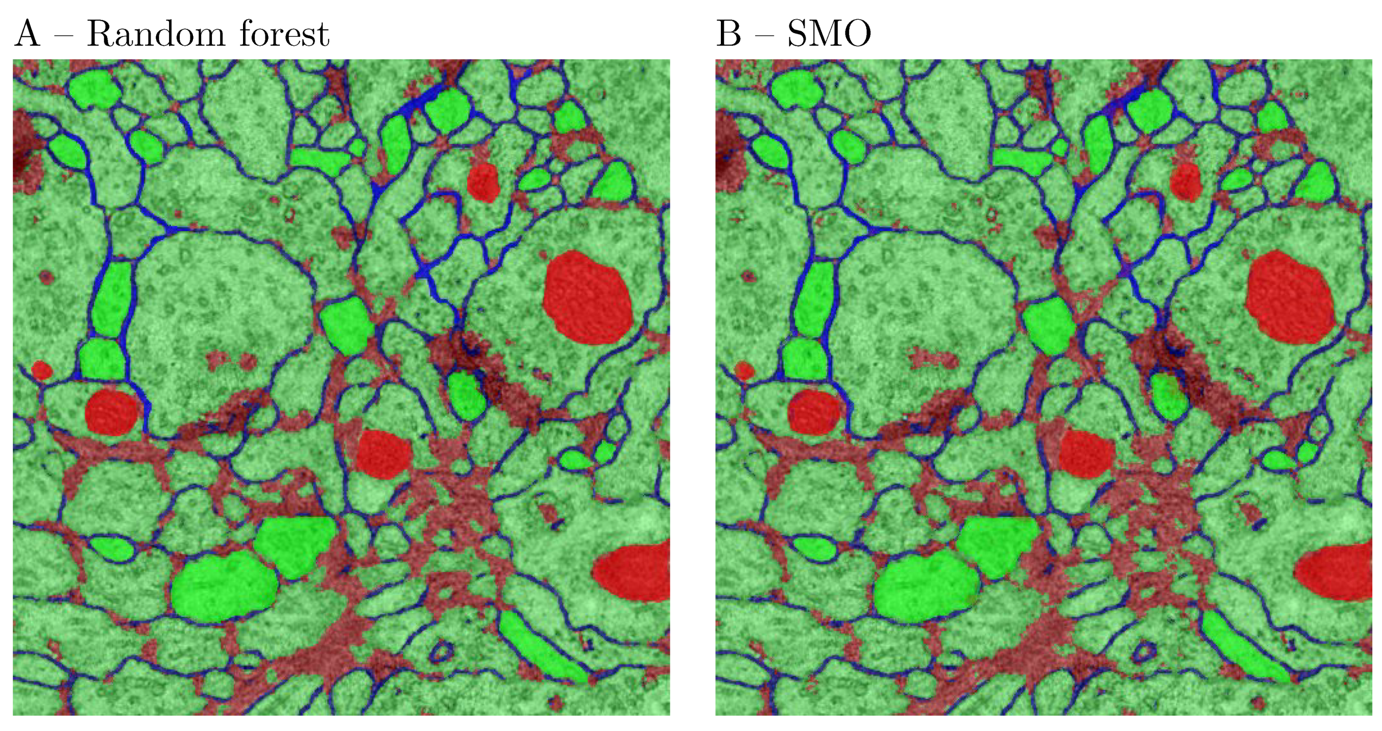 Brainsci 11 01645 g009 Brainsci 11 01645 g009