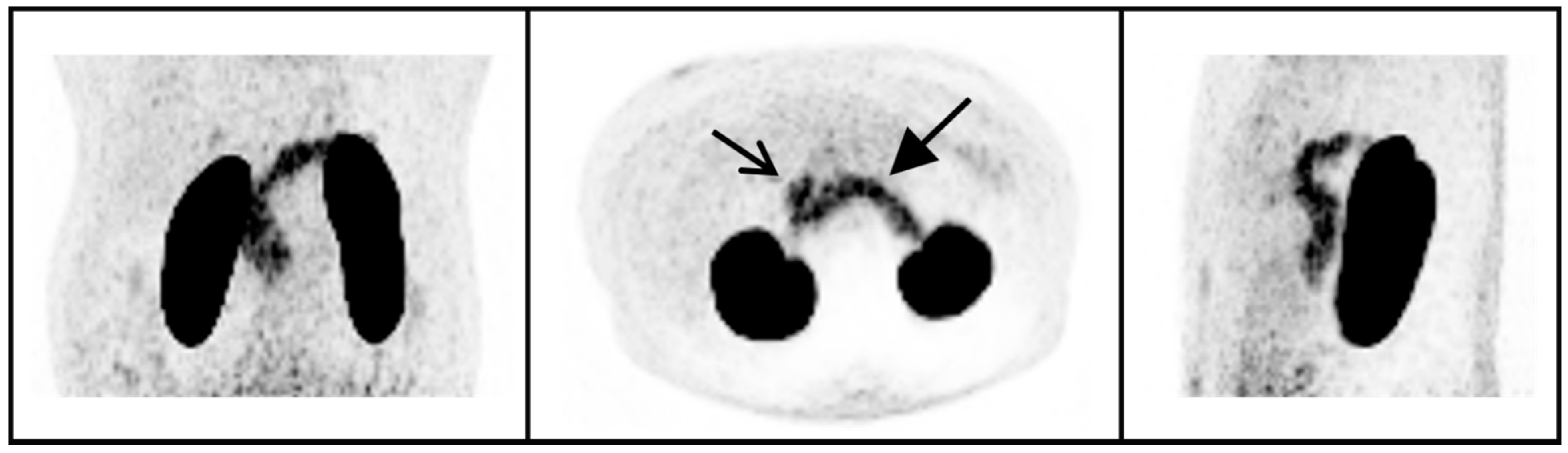 Brainsci 11 01647 g002