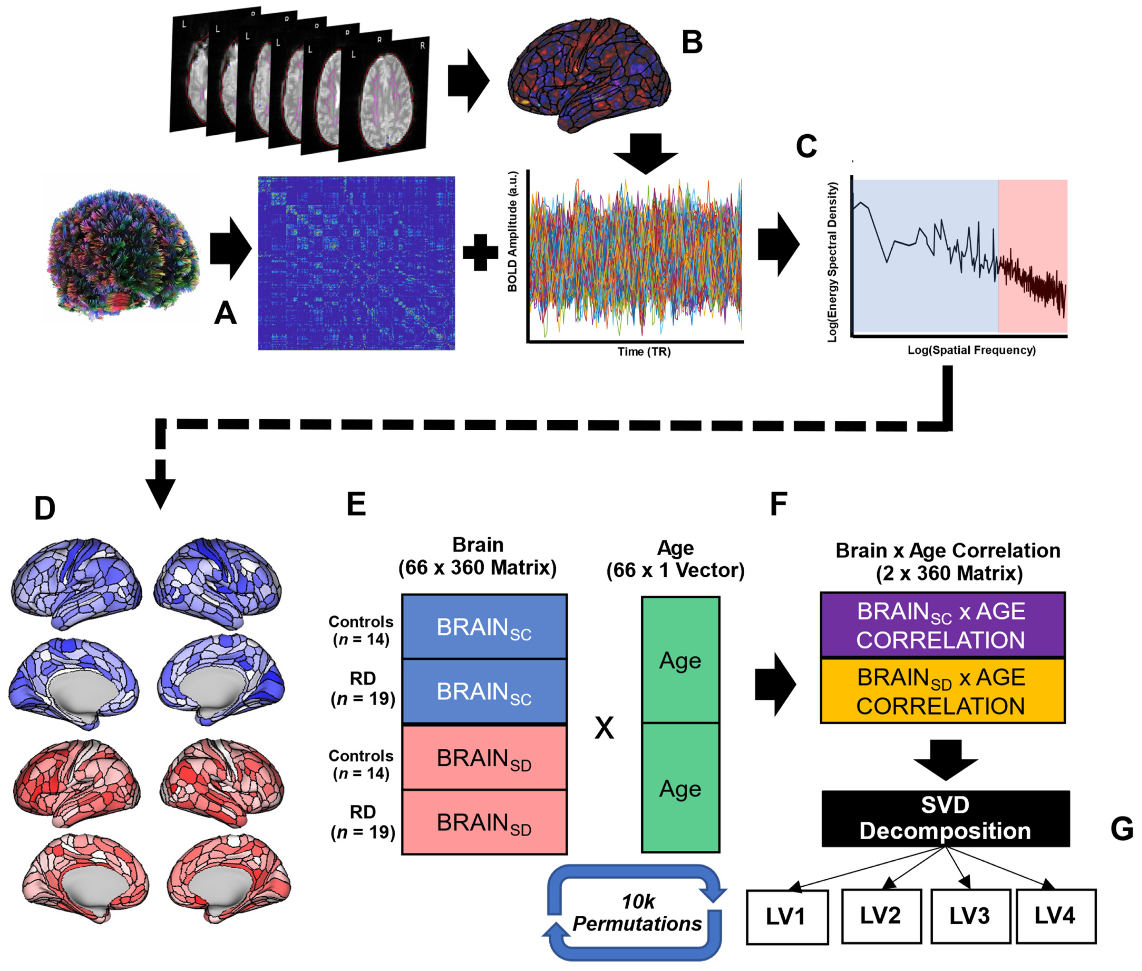 Brainsci 12 00022 g001 Brainsci 12 00022 g001