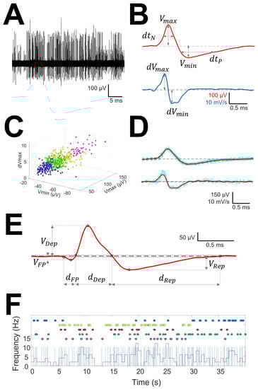 Brainsci 12 00043 g001