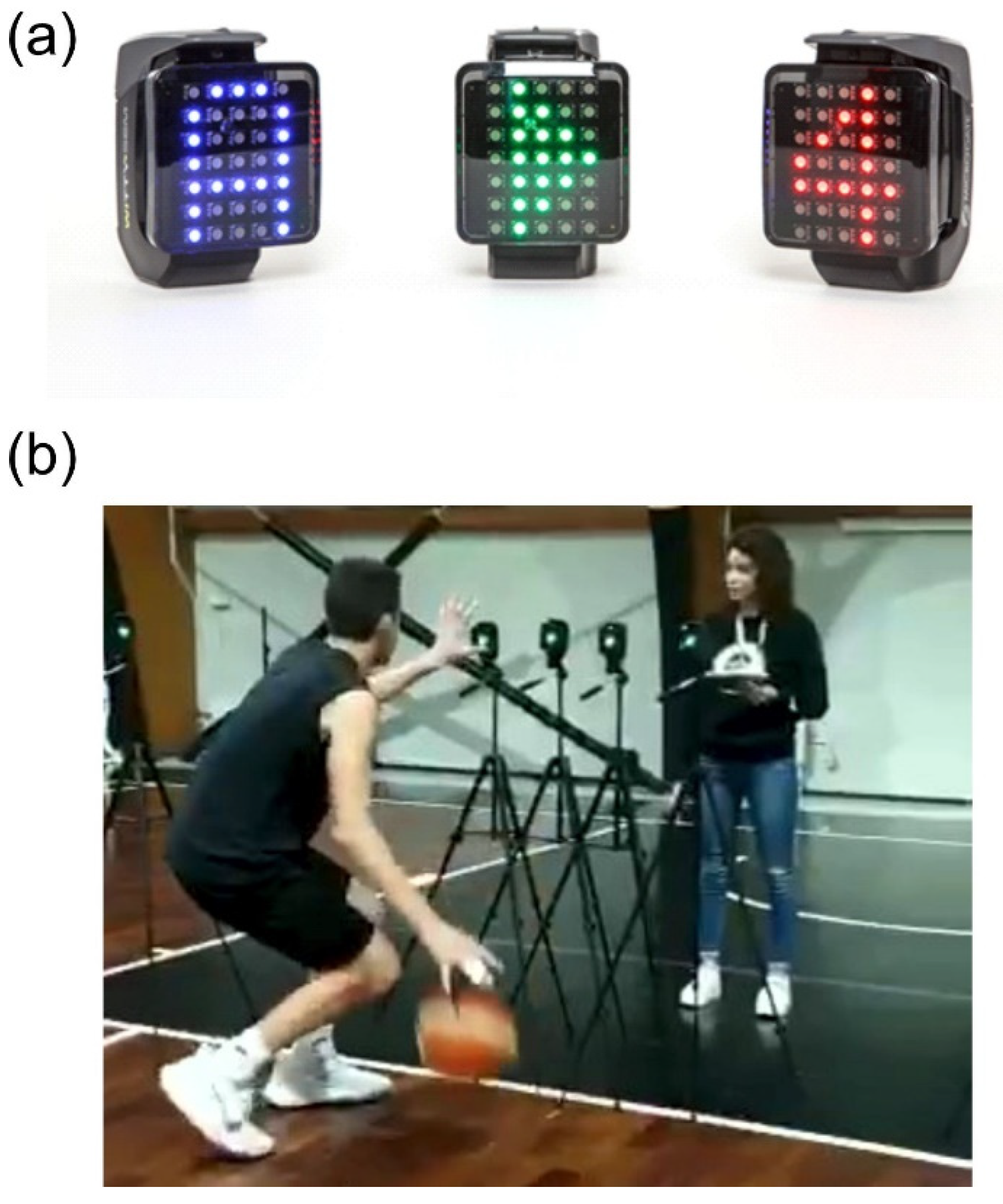 Brainsci 12 00068 g002