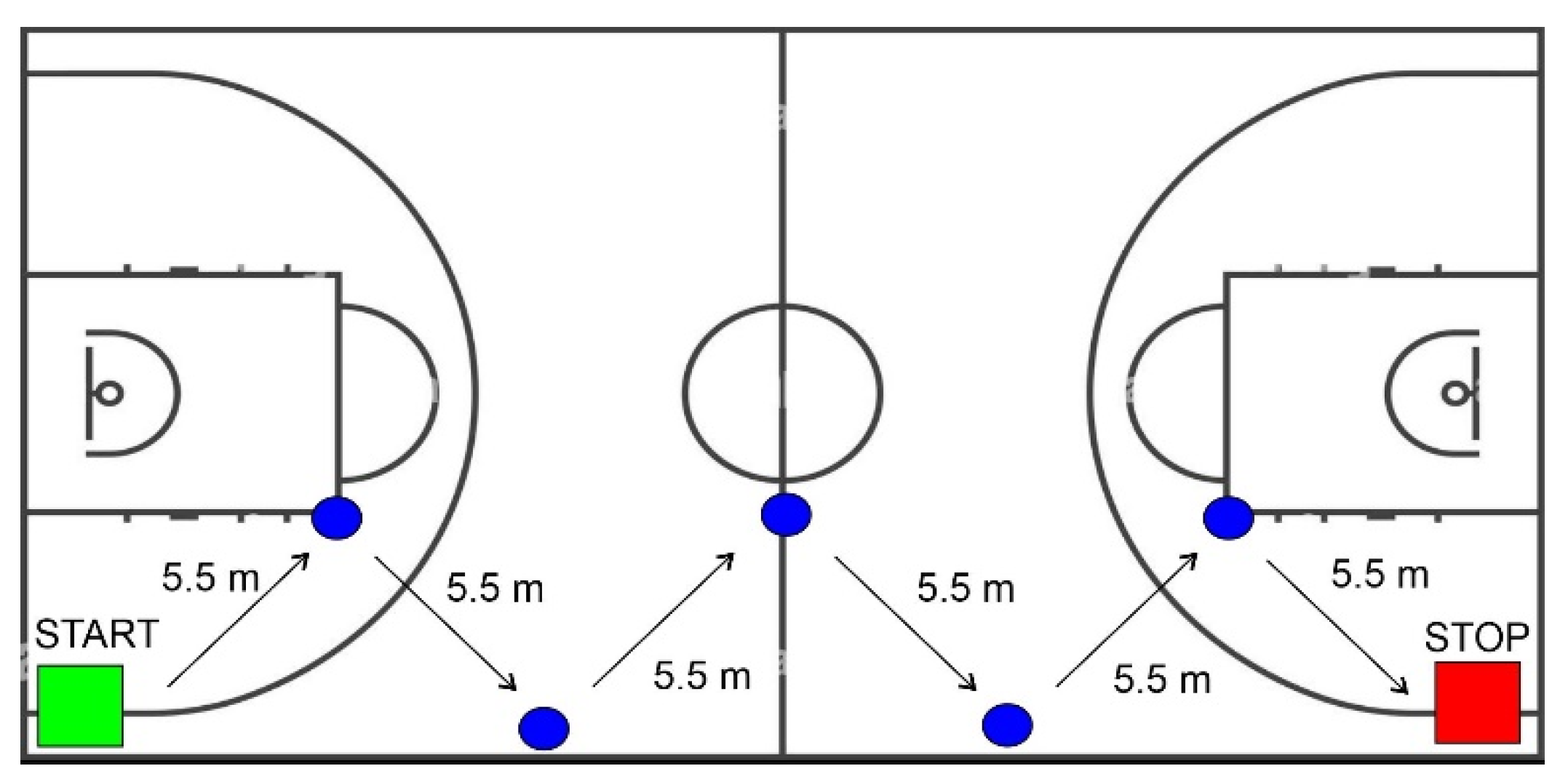 Brainsci 12 00068 g003