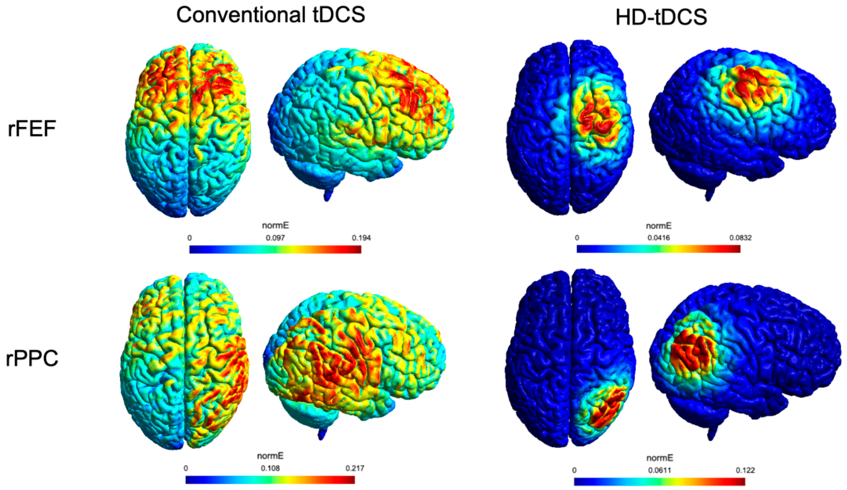 Brainsci 12 00071 g001
