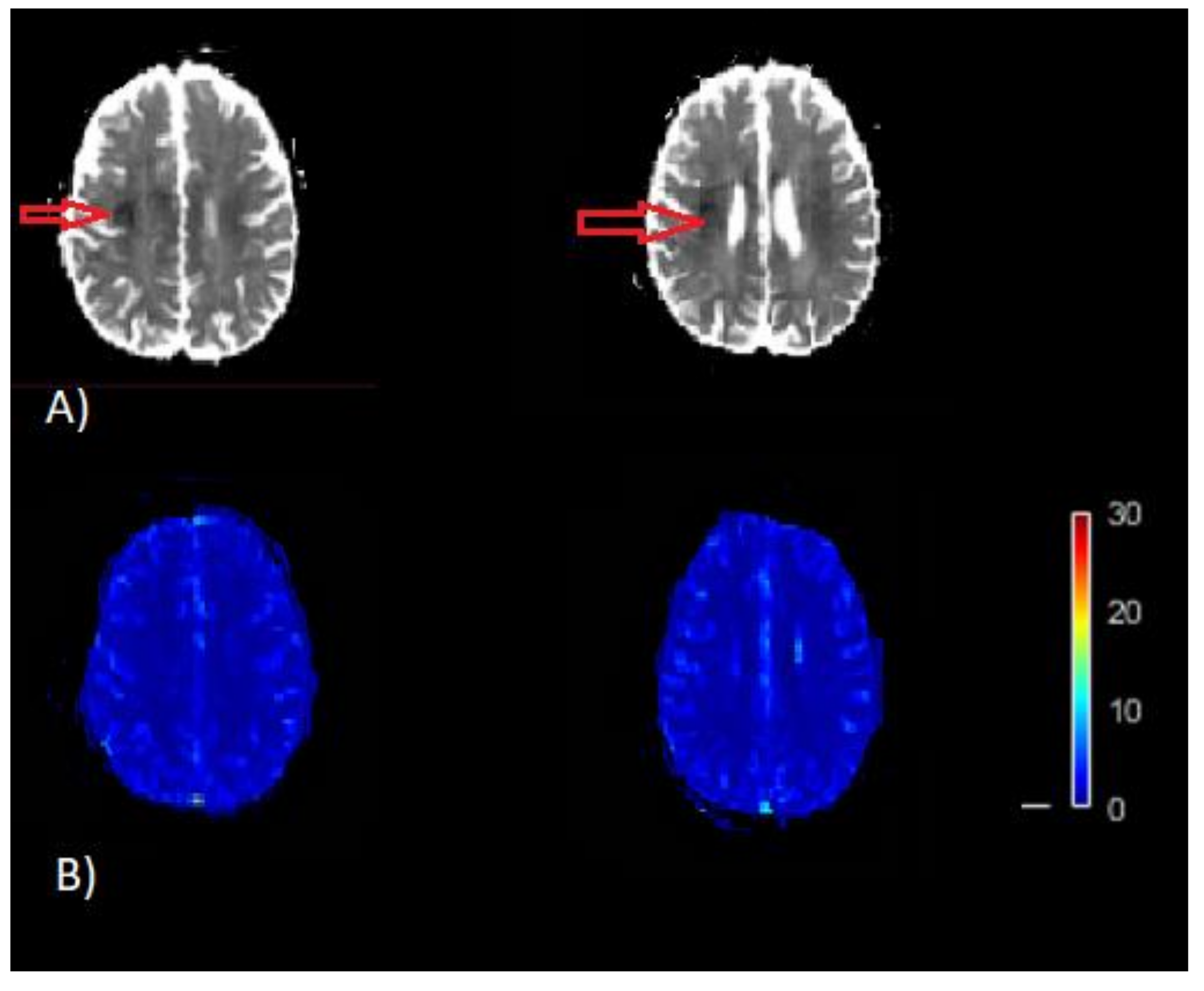 Brainsci 12 00077 g001