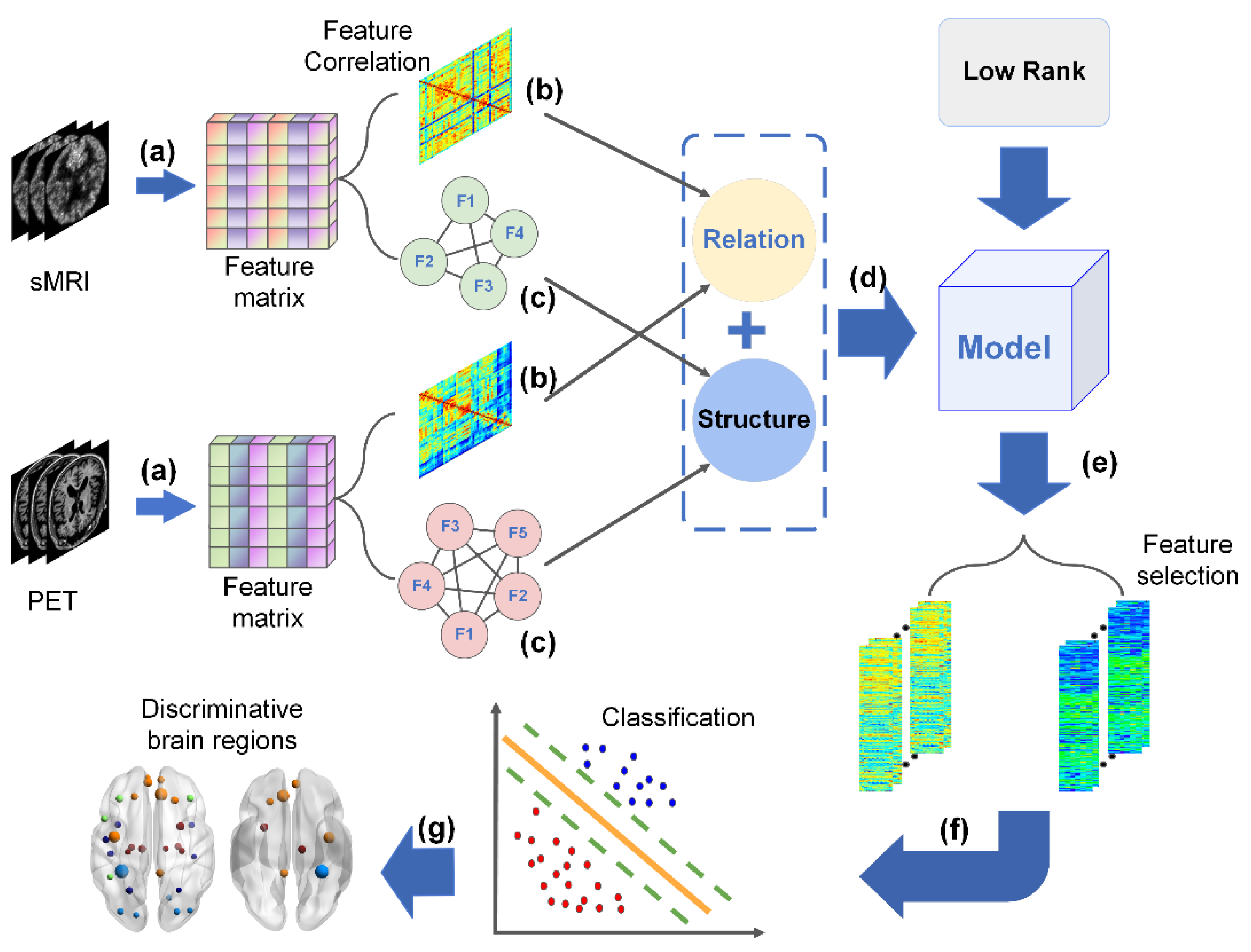 Brainsci 12 00080 g001