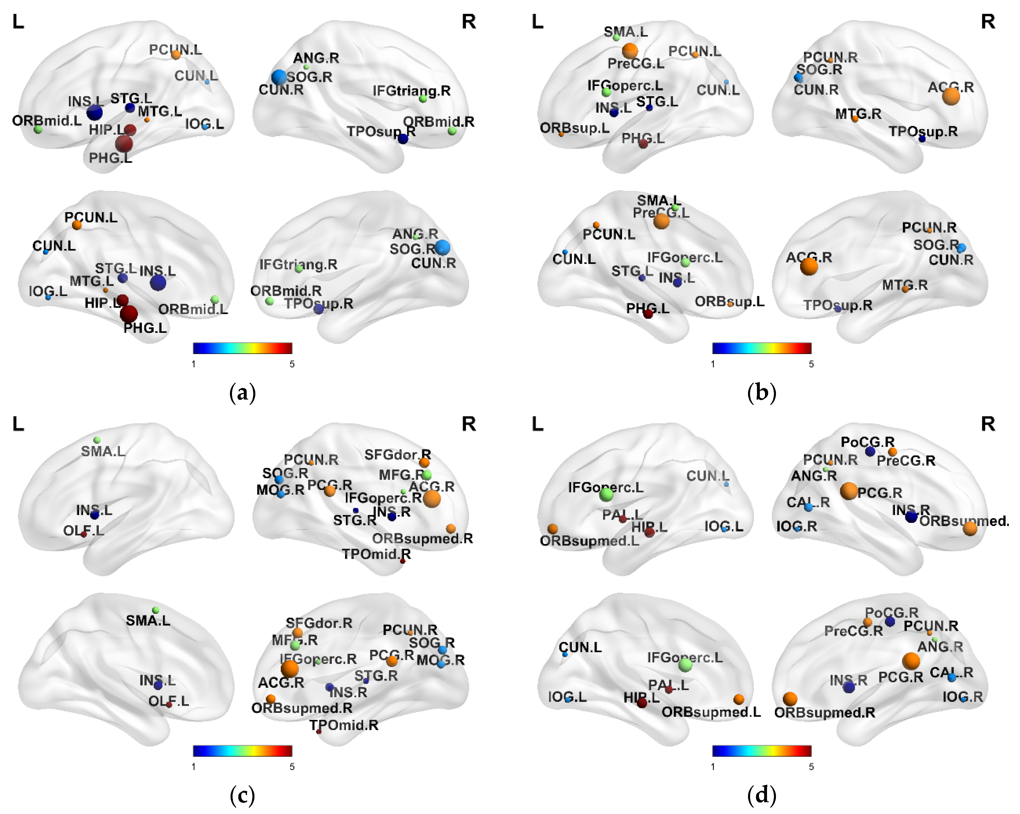 Brainsci 12 00080 g006