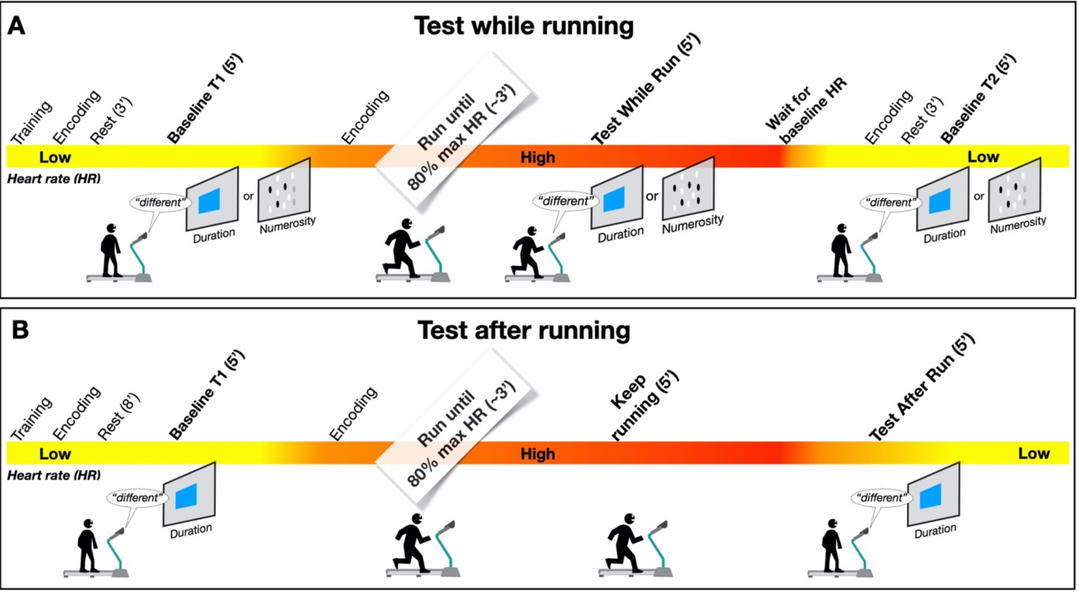 Brainsci 12 00081 g001