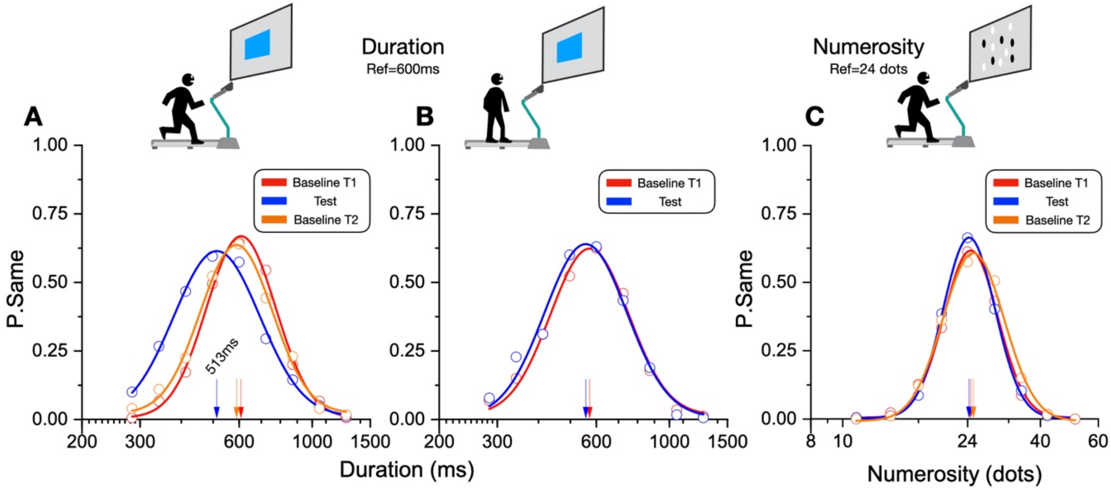 Brainsci 12 00081 g003