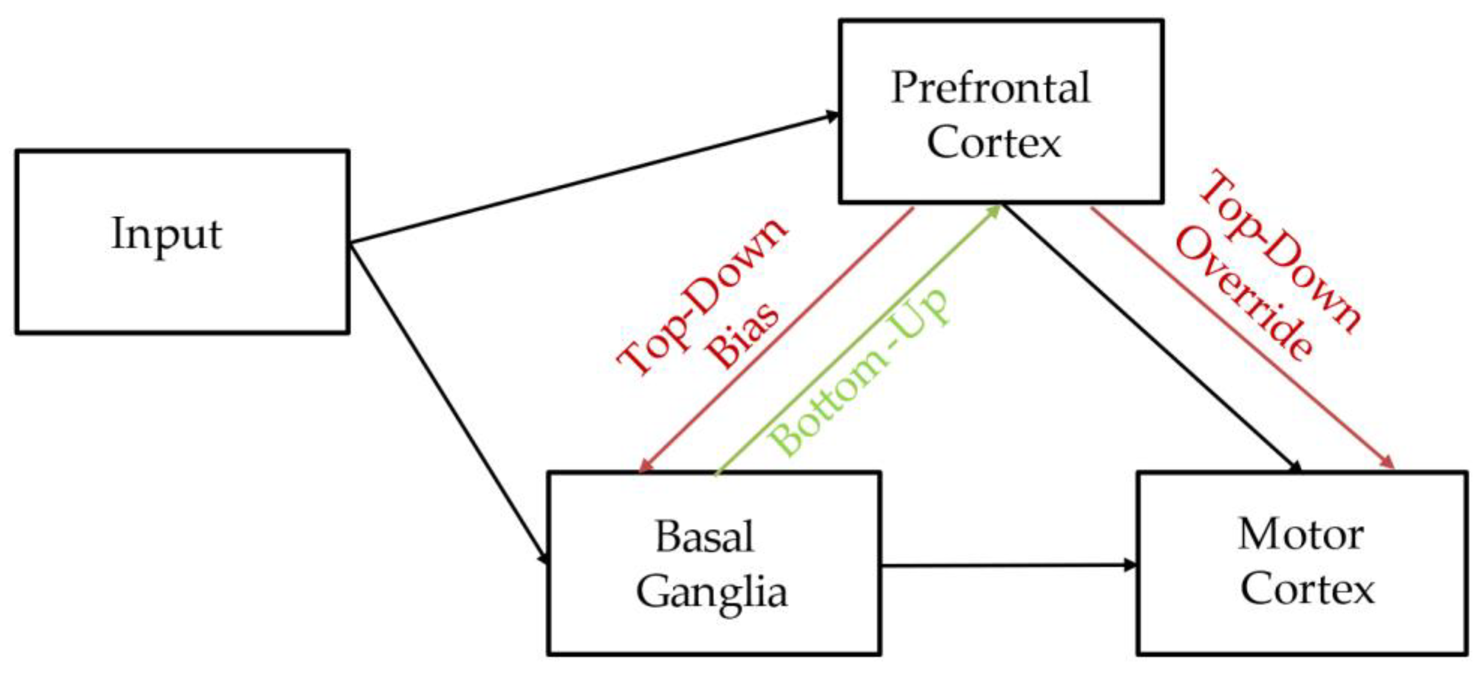 Brainsci 12 00090 g005