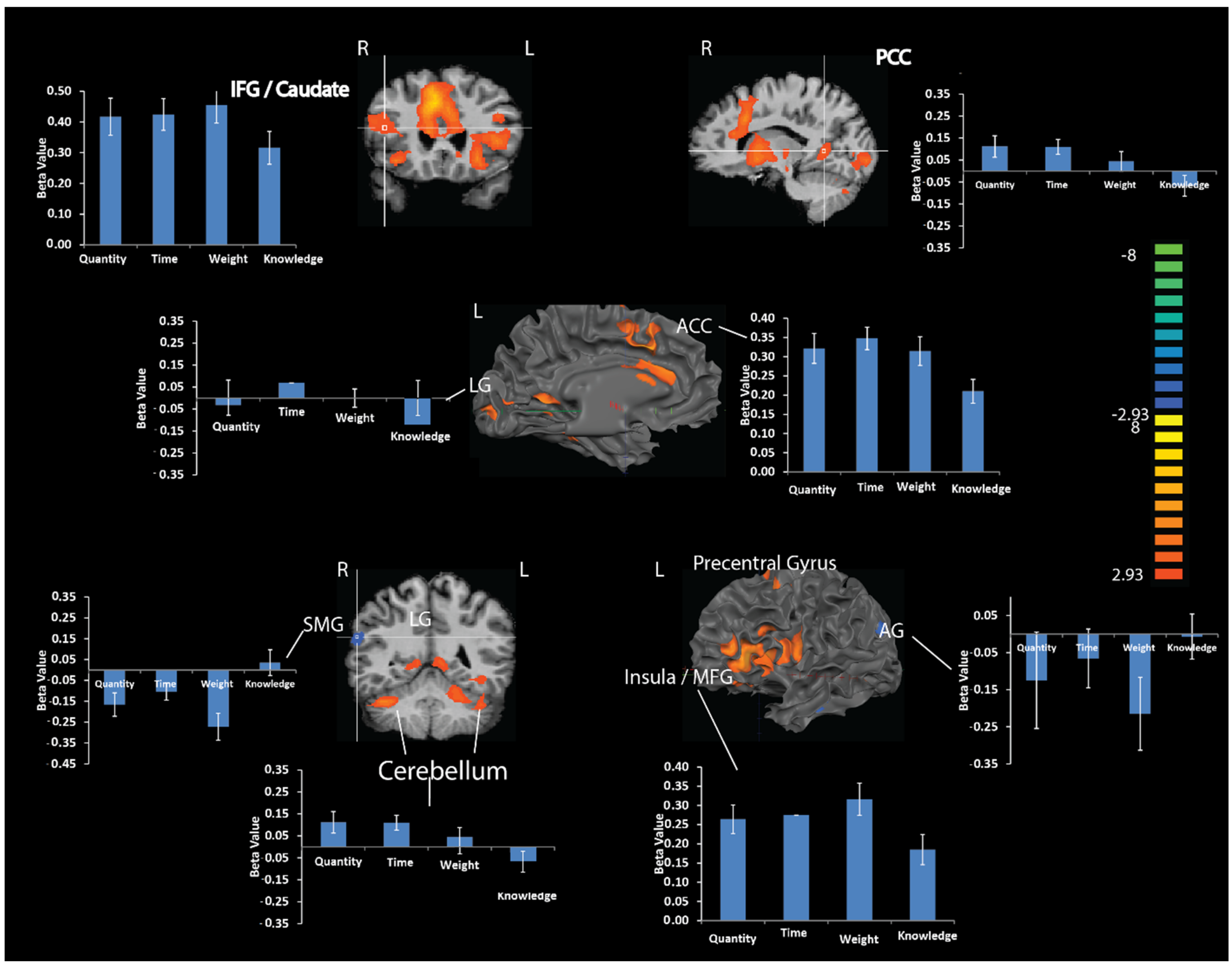 Brainsci 12 00104 g004