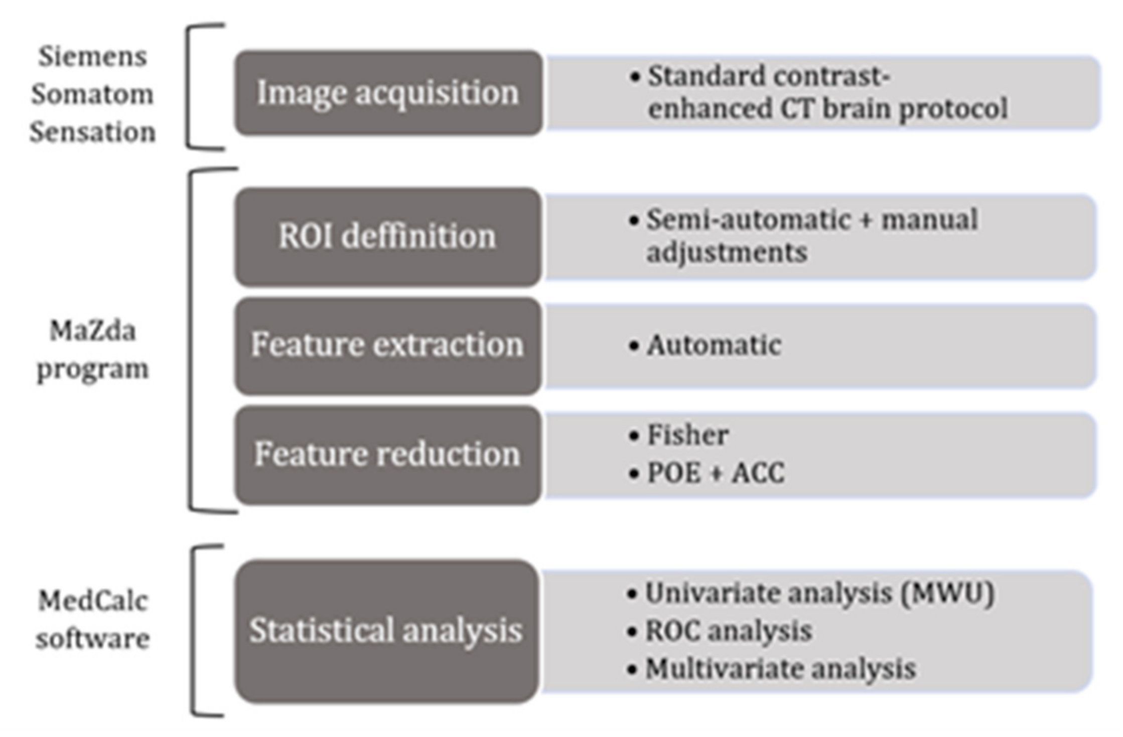 Brainsci 12 00109 g002