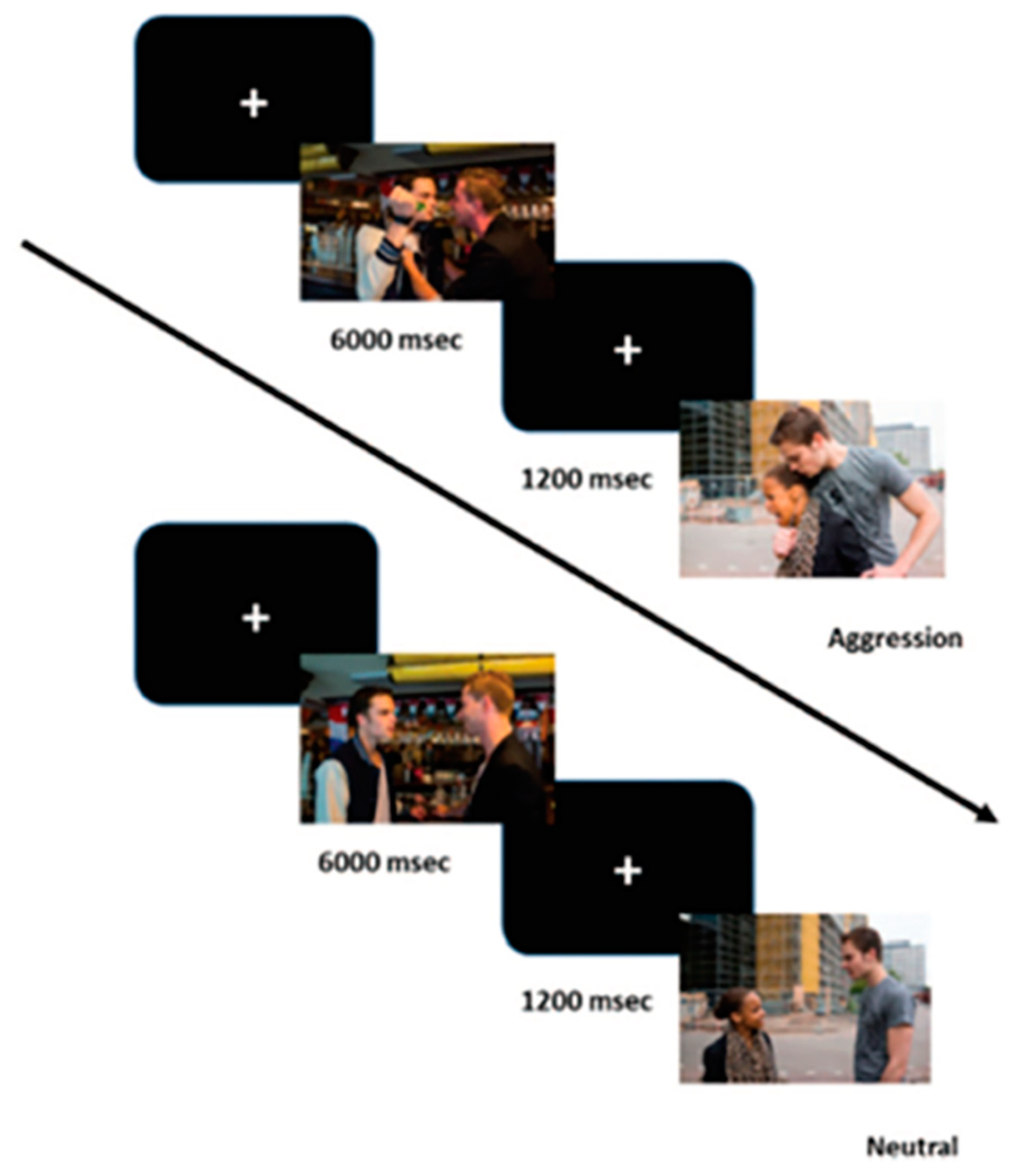 Brainsci 12 00124 g001