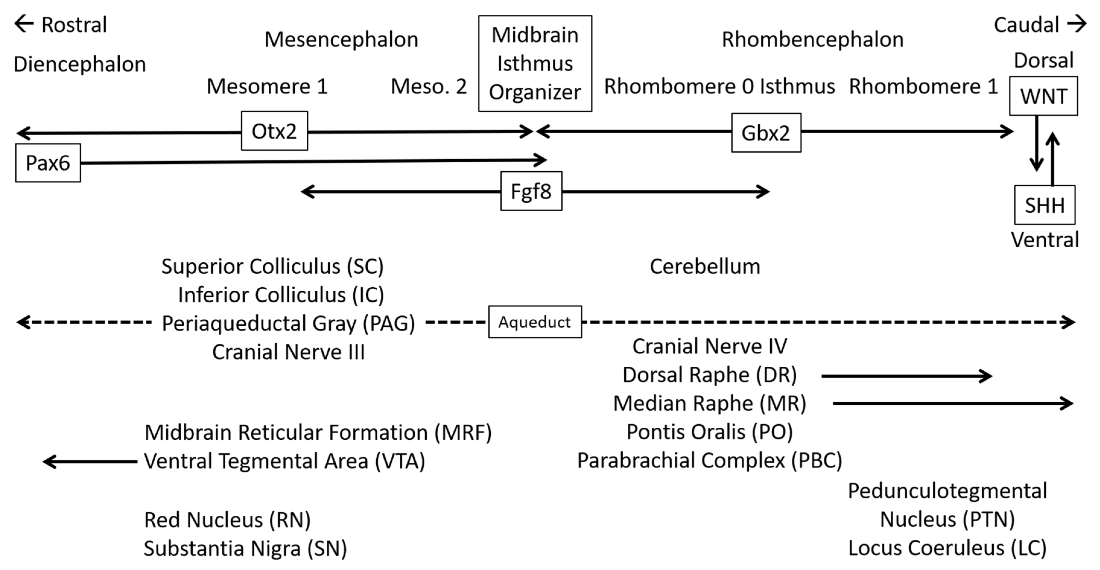 Brainsci 12 00132 g003 Brainsci 12 00132 g003