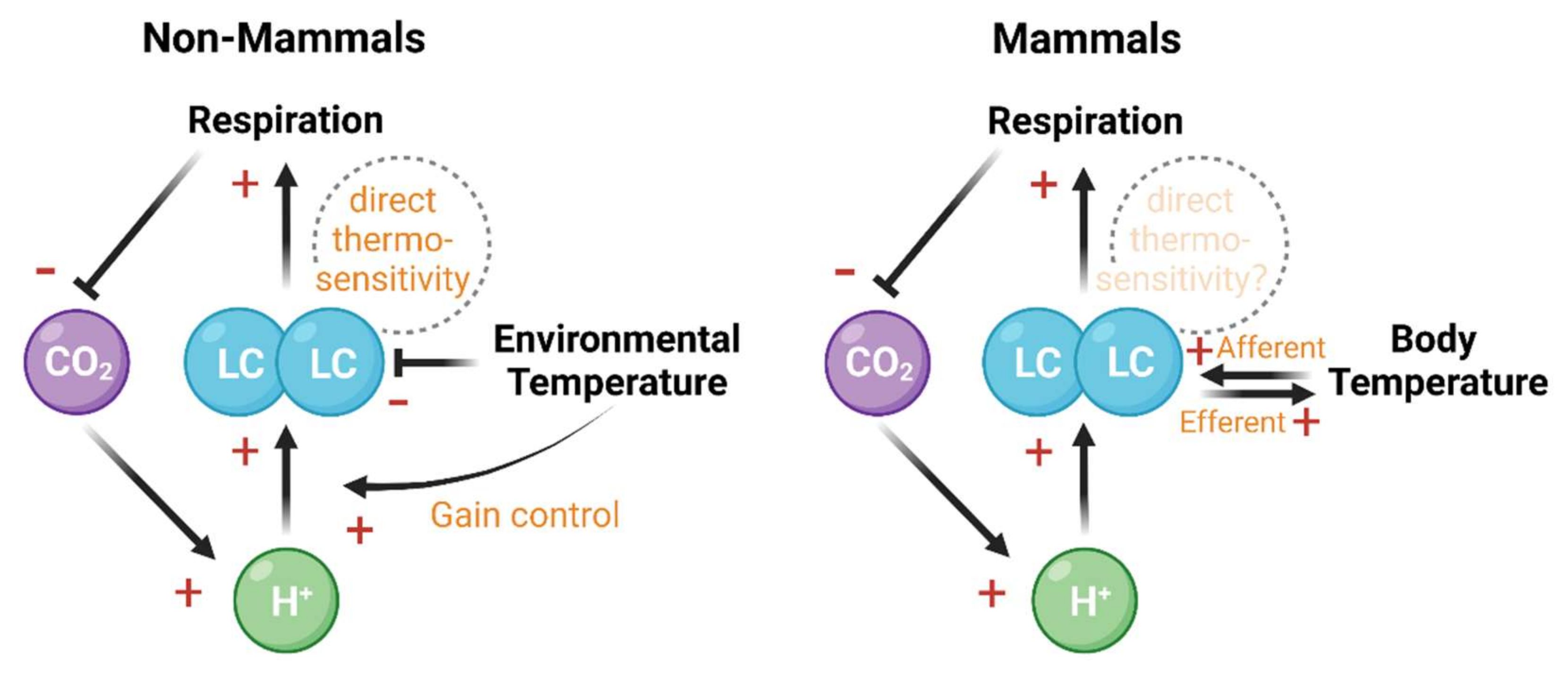 Brainsci 12 00134 g002