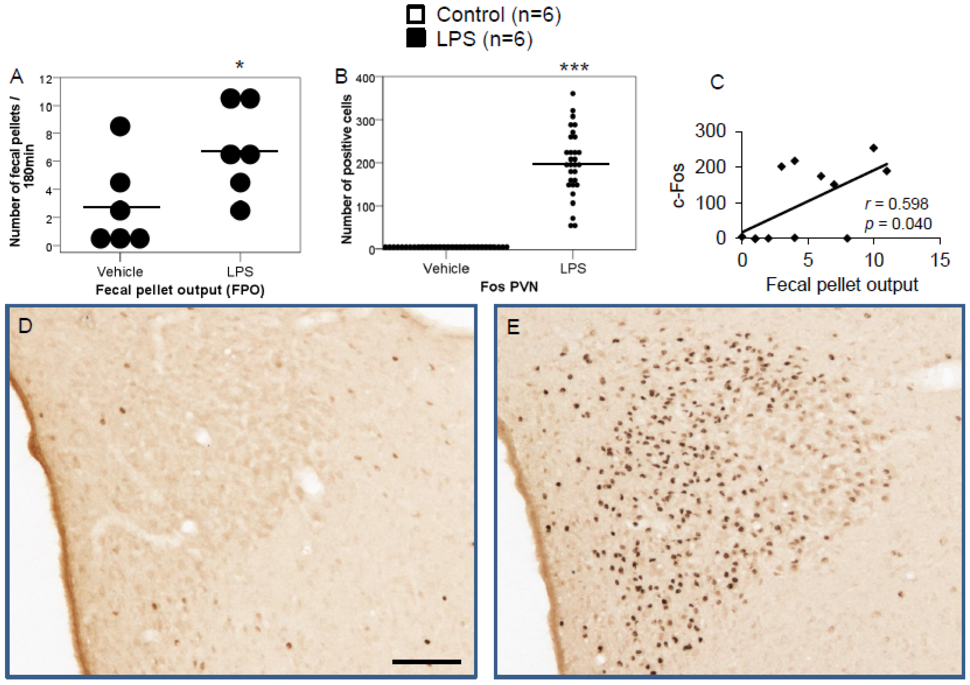 Brainsci 12 00135 g001