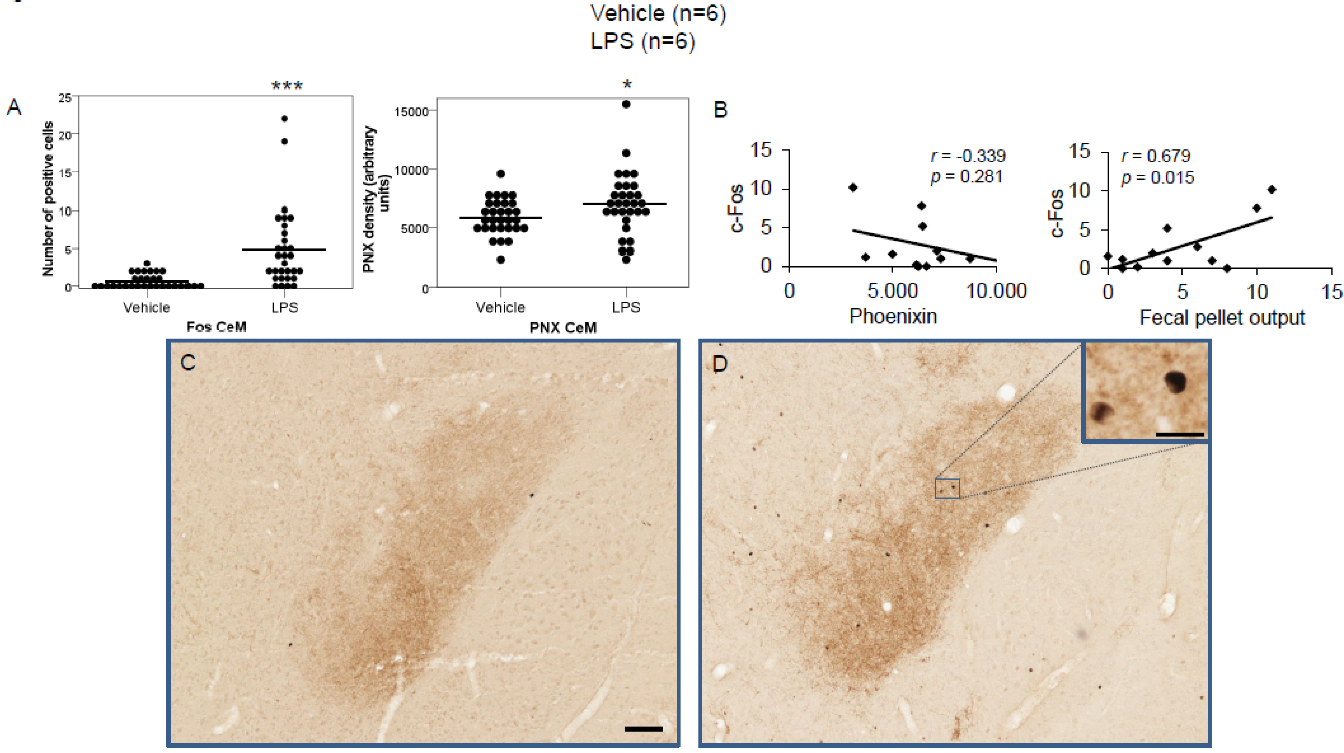 Brainsci 12 00135 g002