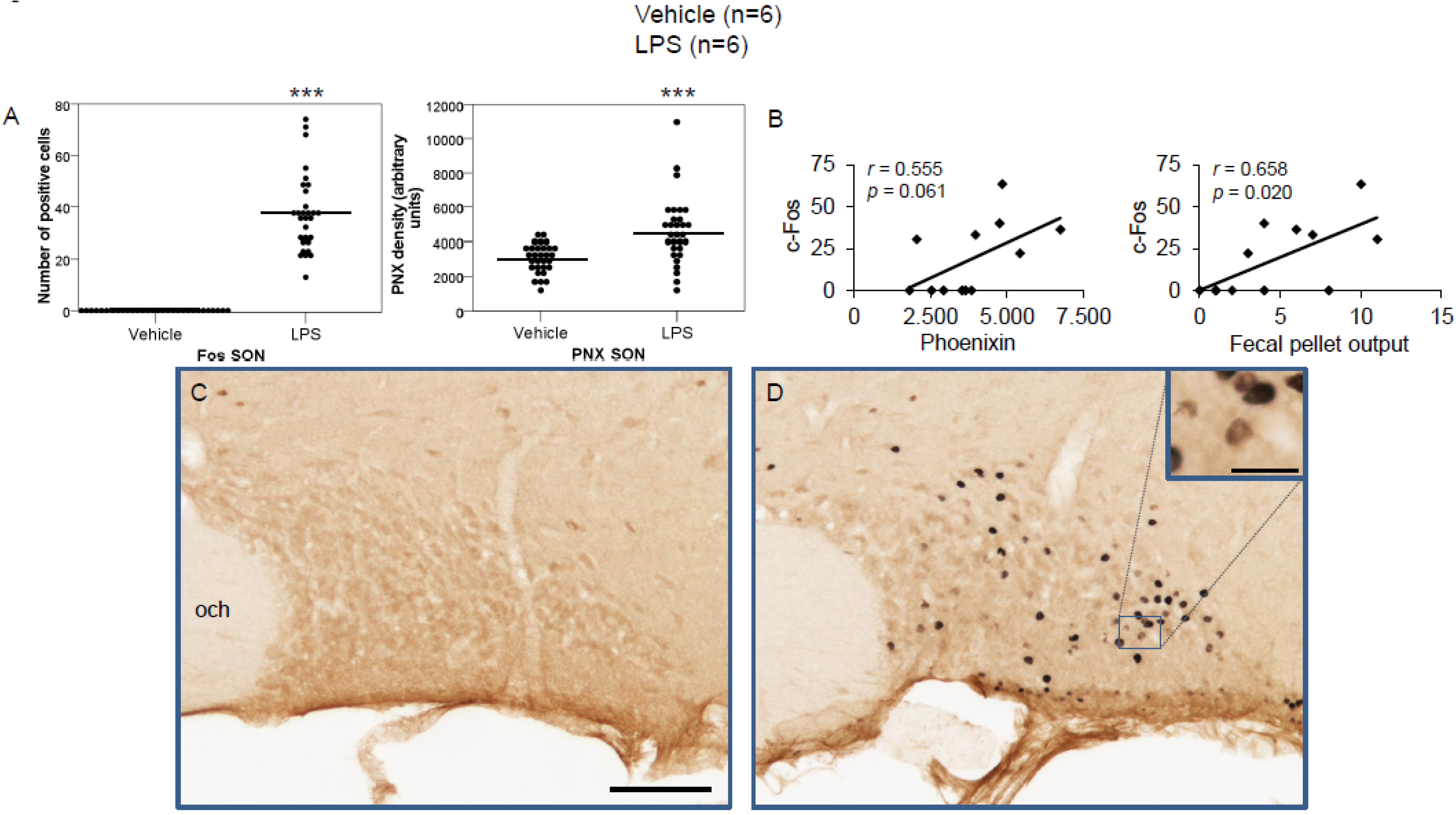 Brainsci 12 00135 g003