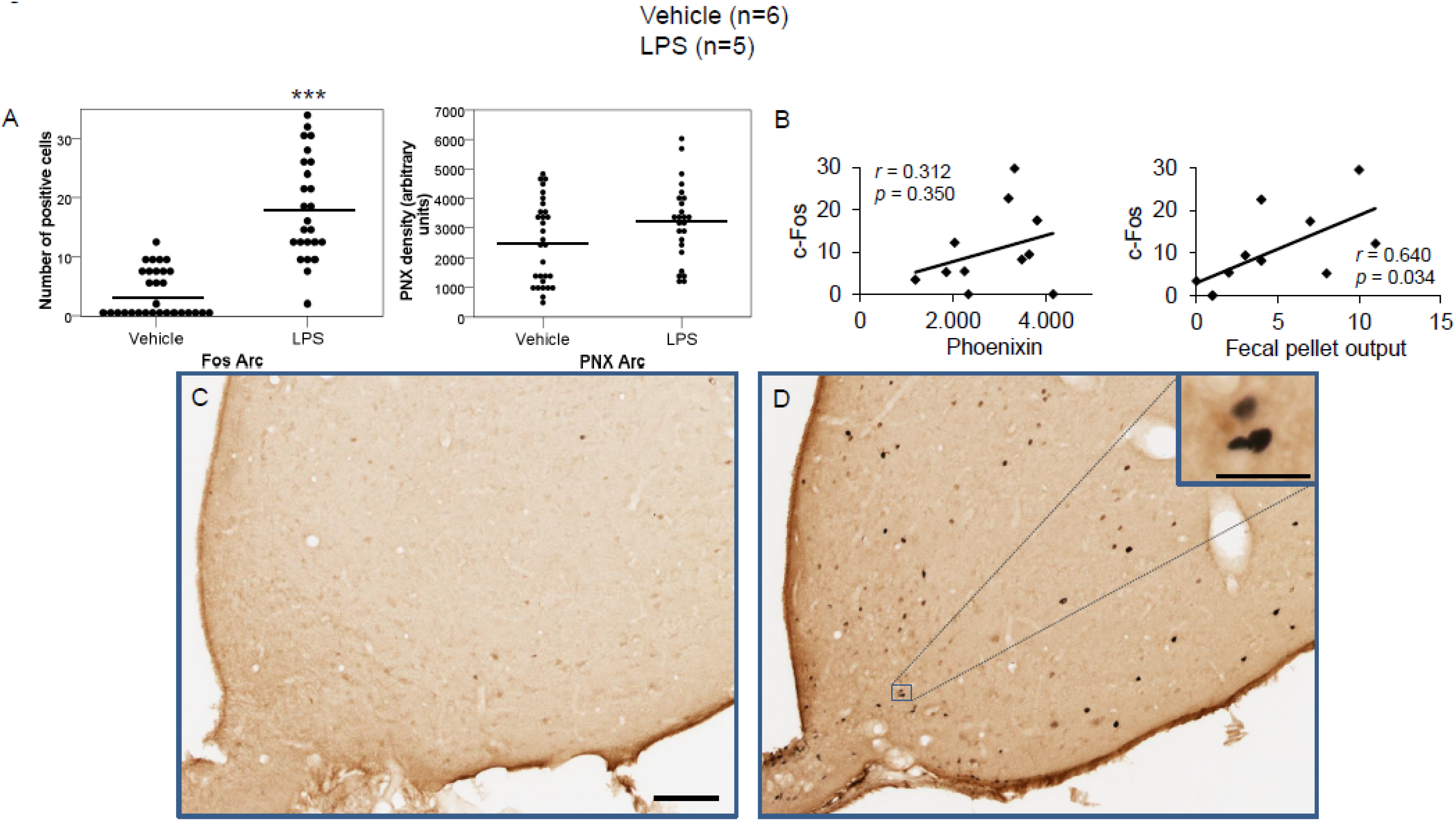 Brainsci 12 00135 g004