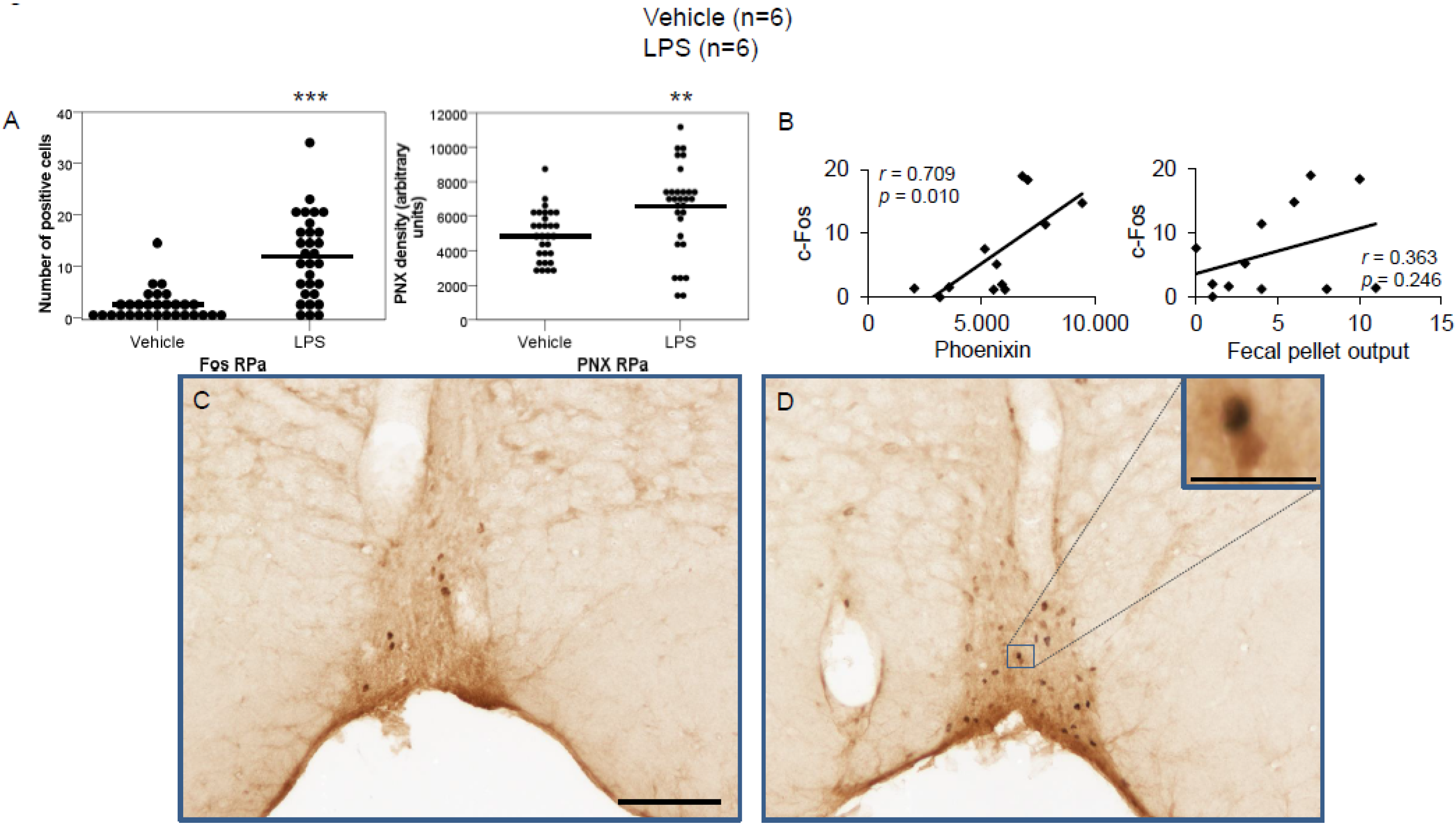 Brainsci 12 00135 g005