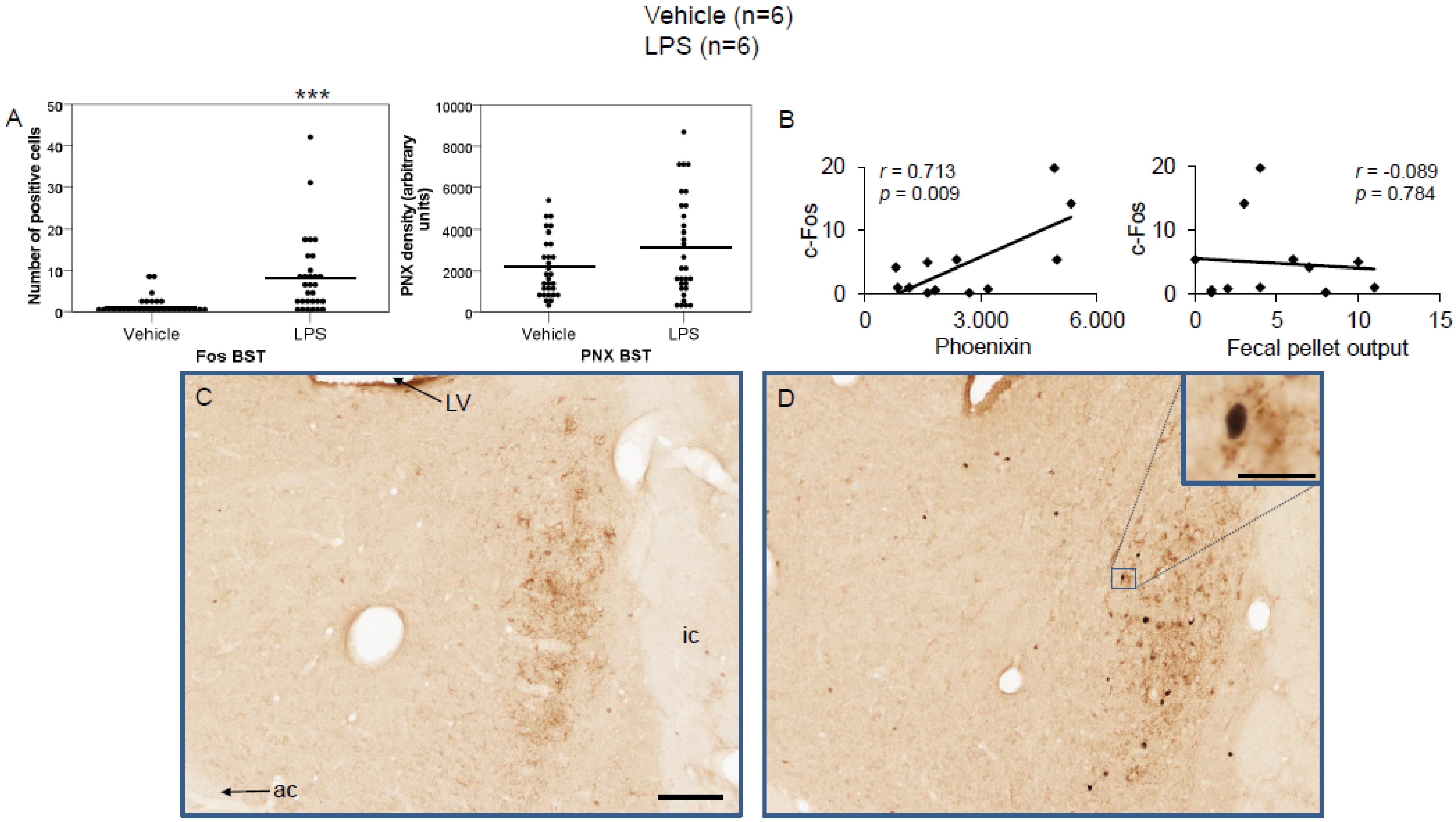 Brainsci 12 00135 g006