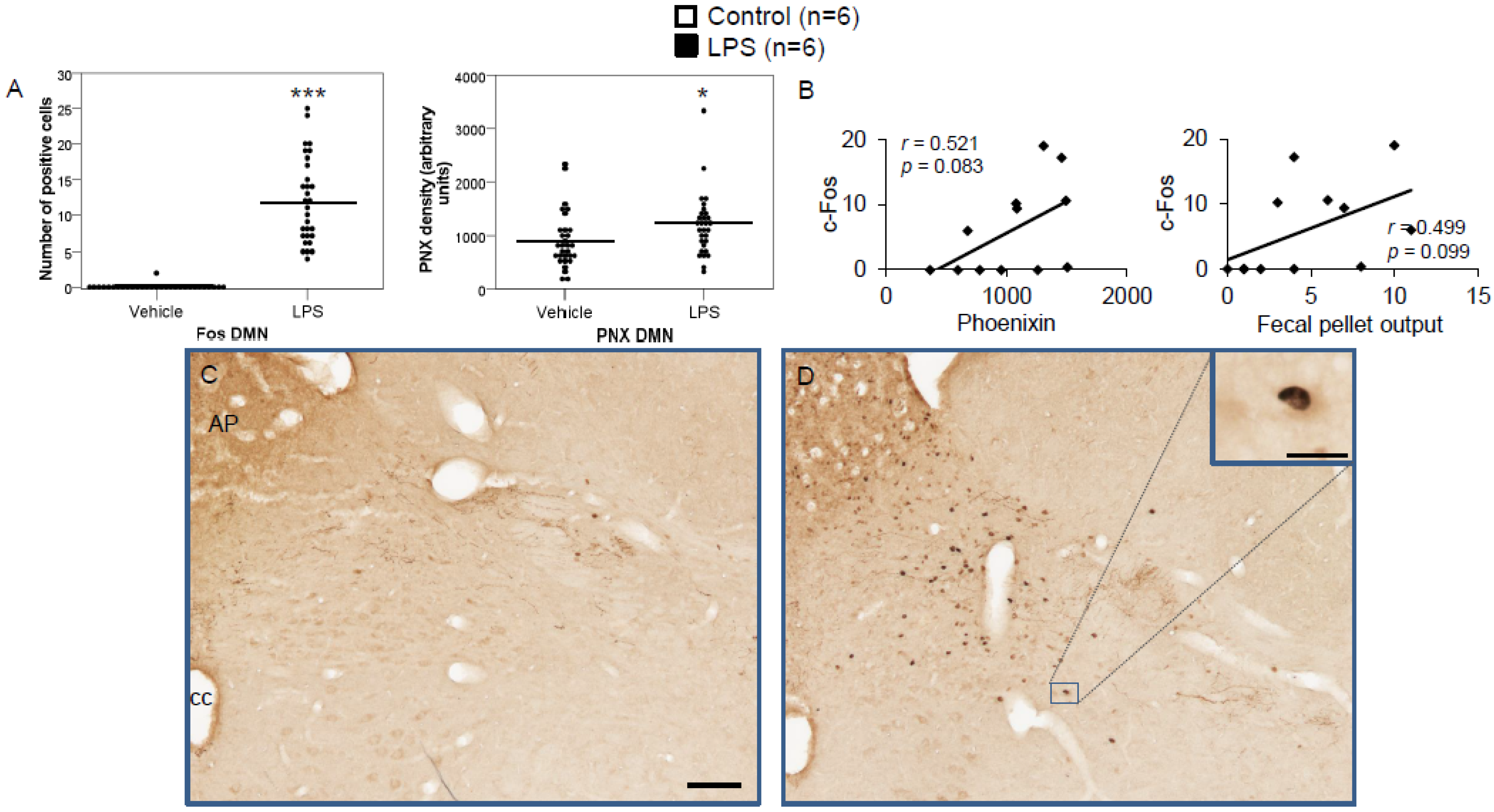 Brainsci 12 00135 g007