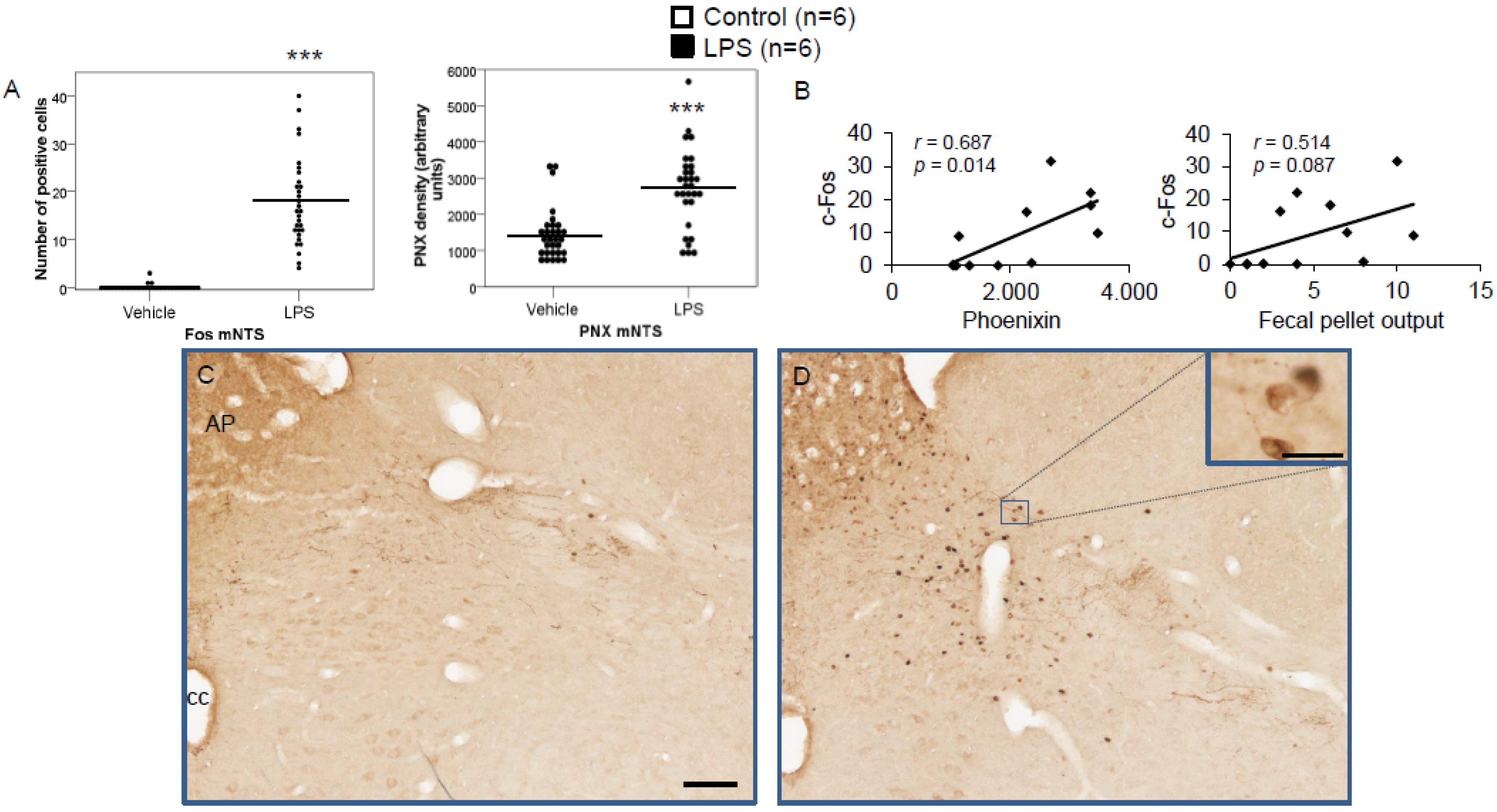 Brainsci 12 00135 g008