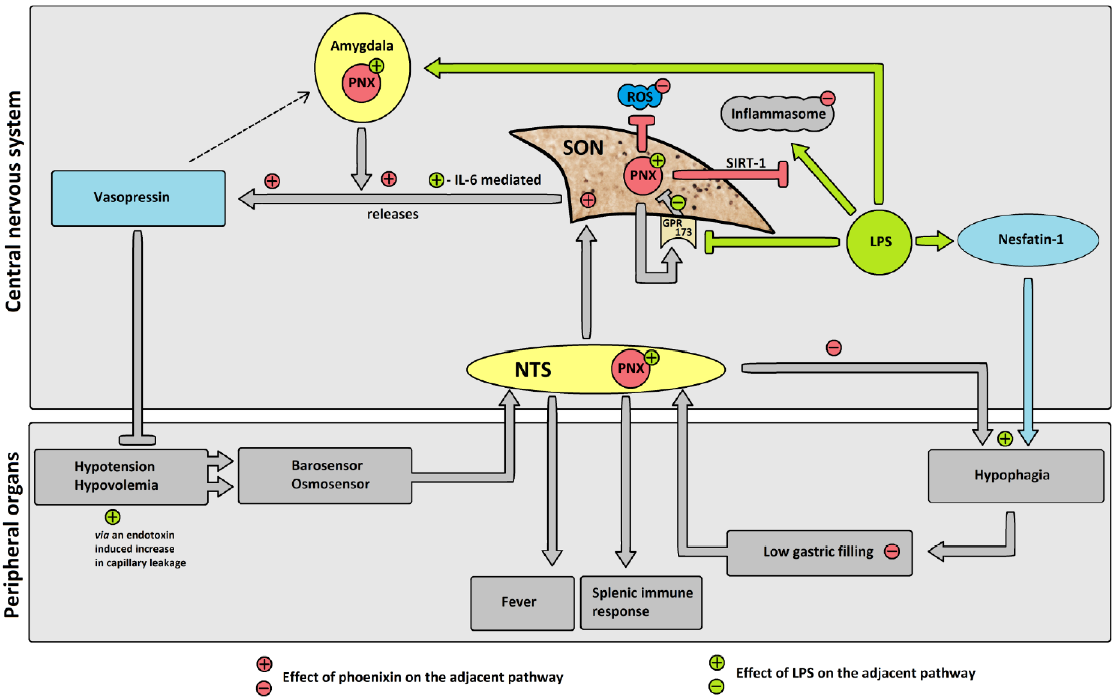 Brainsci 12 00135 g009