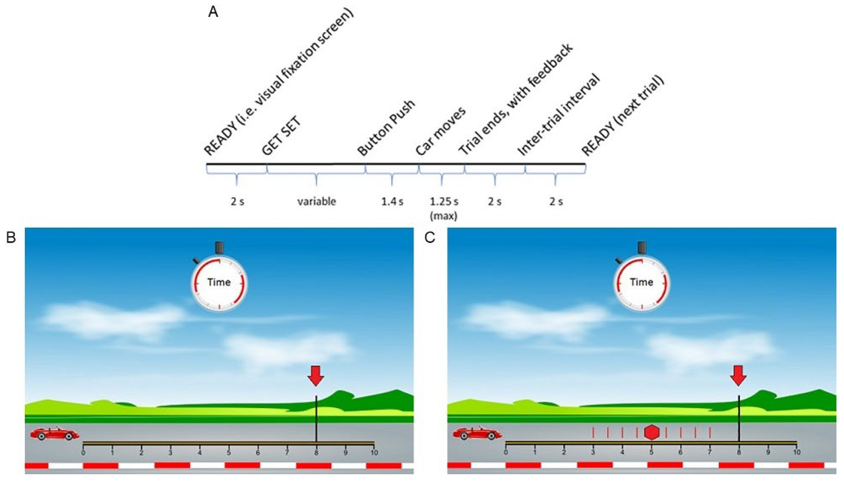 Brainsci 12 00151 g001