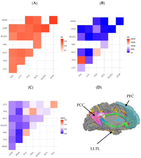 Brainsci 12 00156 g001