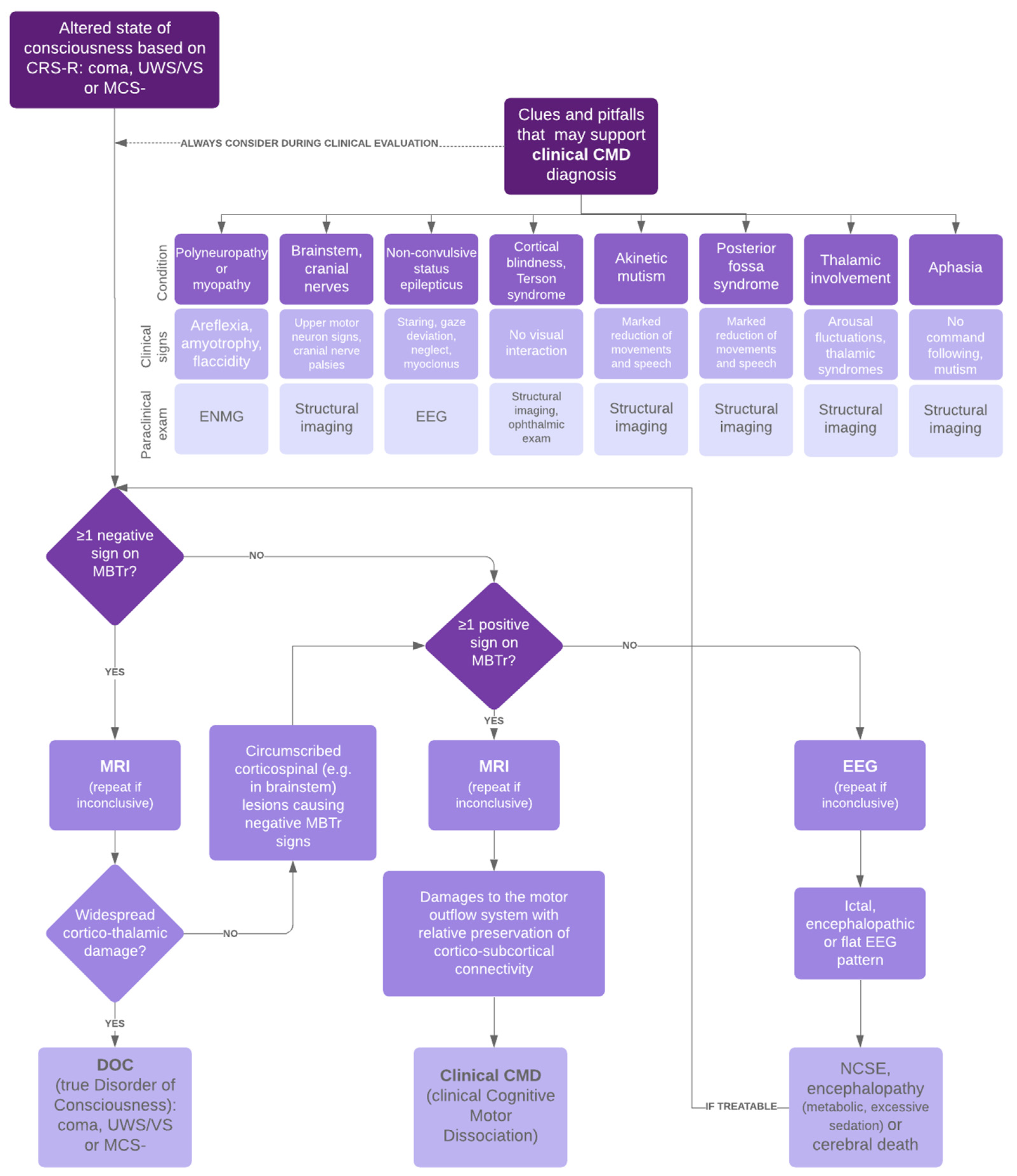 Brainsci 12 00157 g001