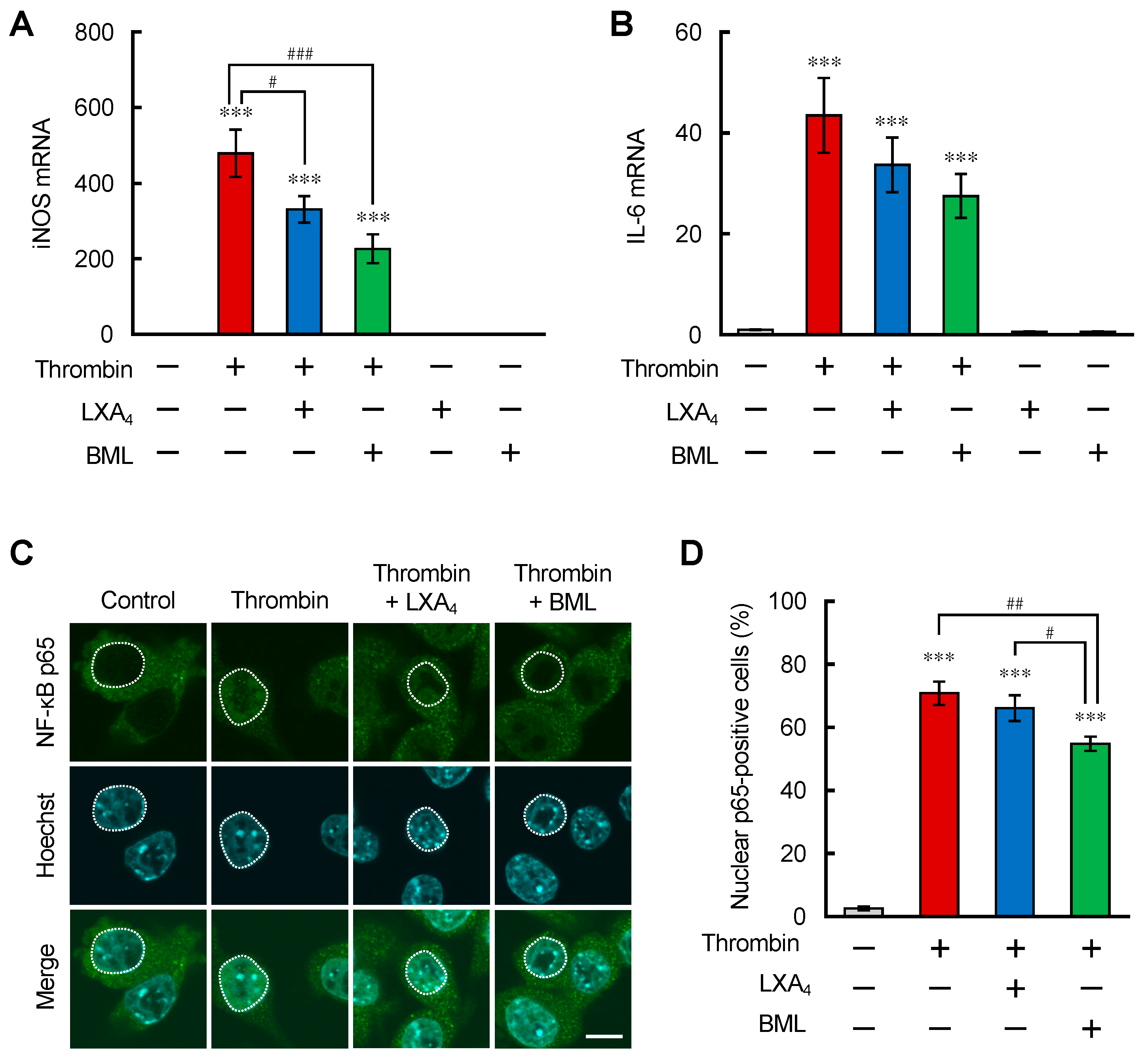 Brainsci 12 00162 g001