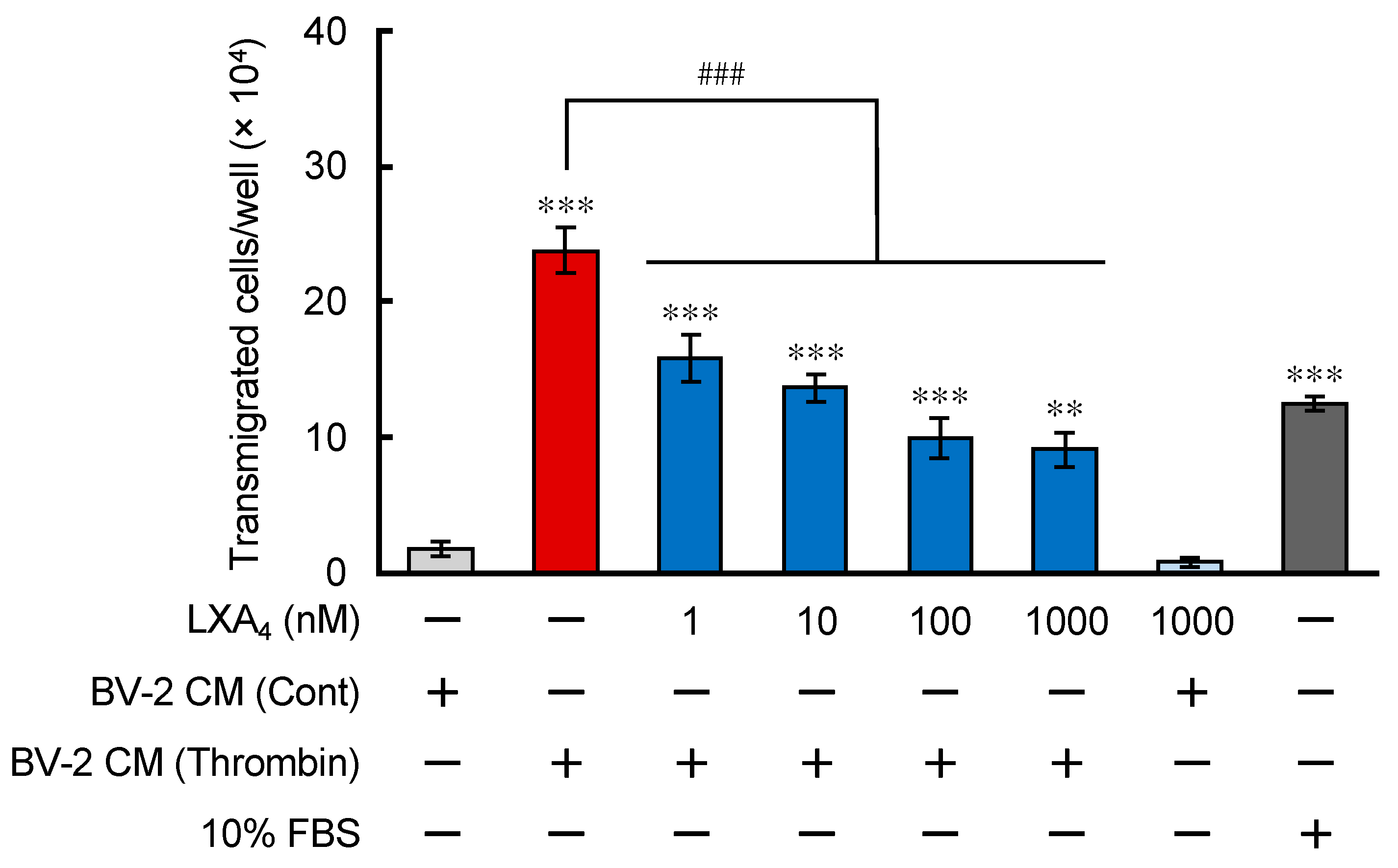 Brainsci 12 00162 g002