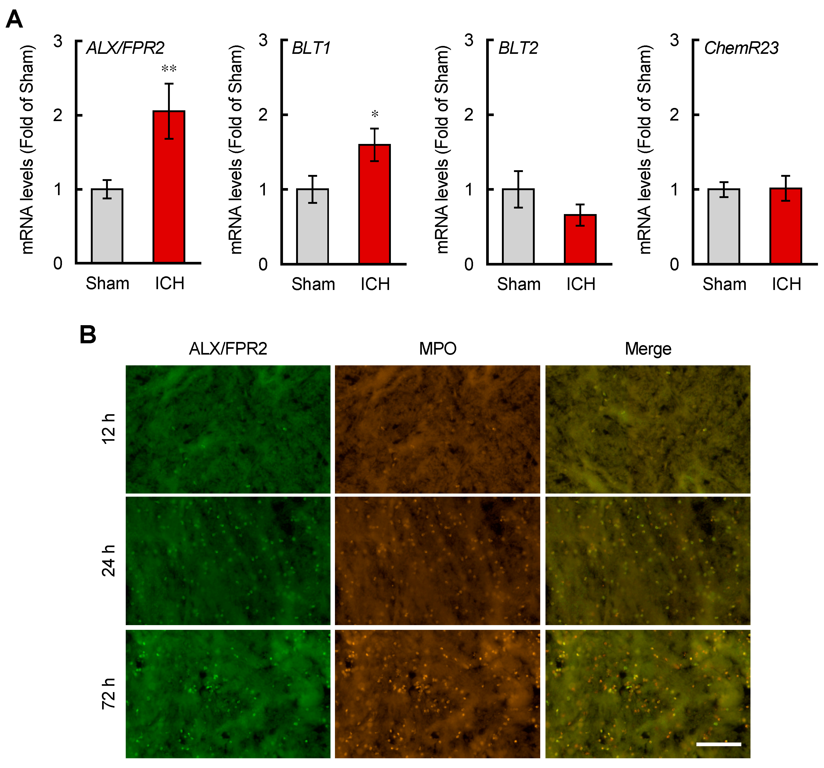 Brainsci 12 00162 g003