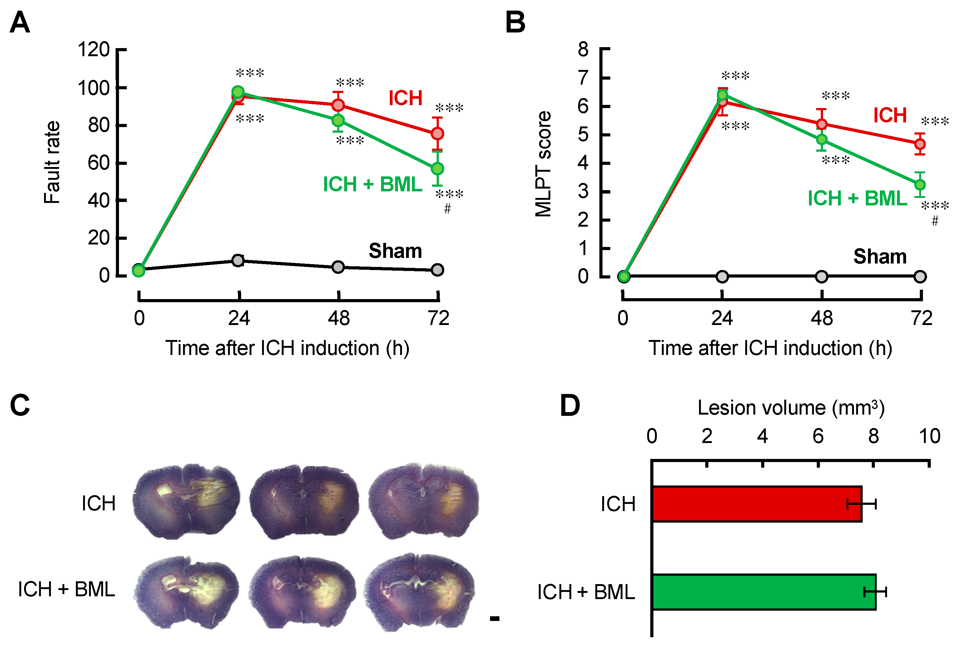 Brainsci 12 00162 g004