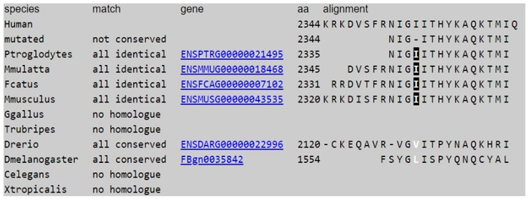 Brainsci 12 00173 i001