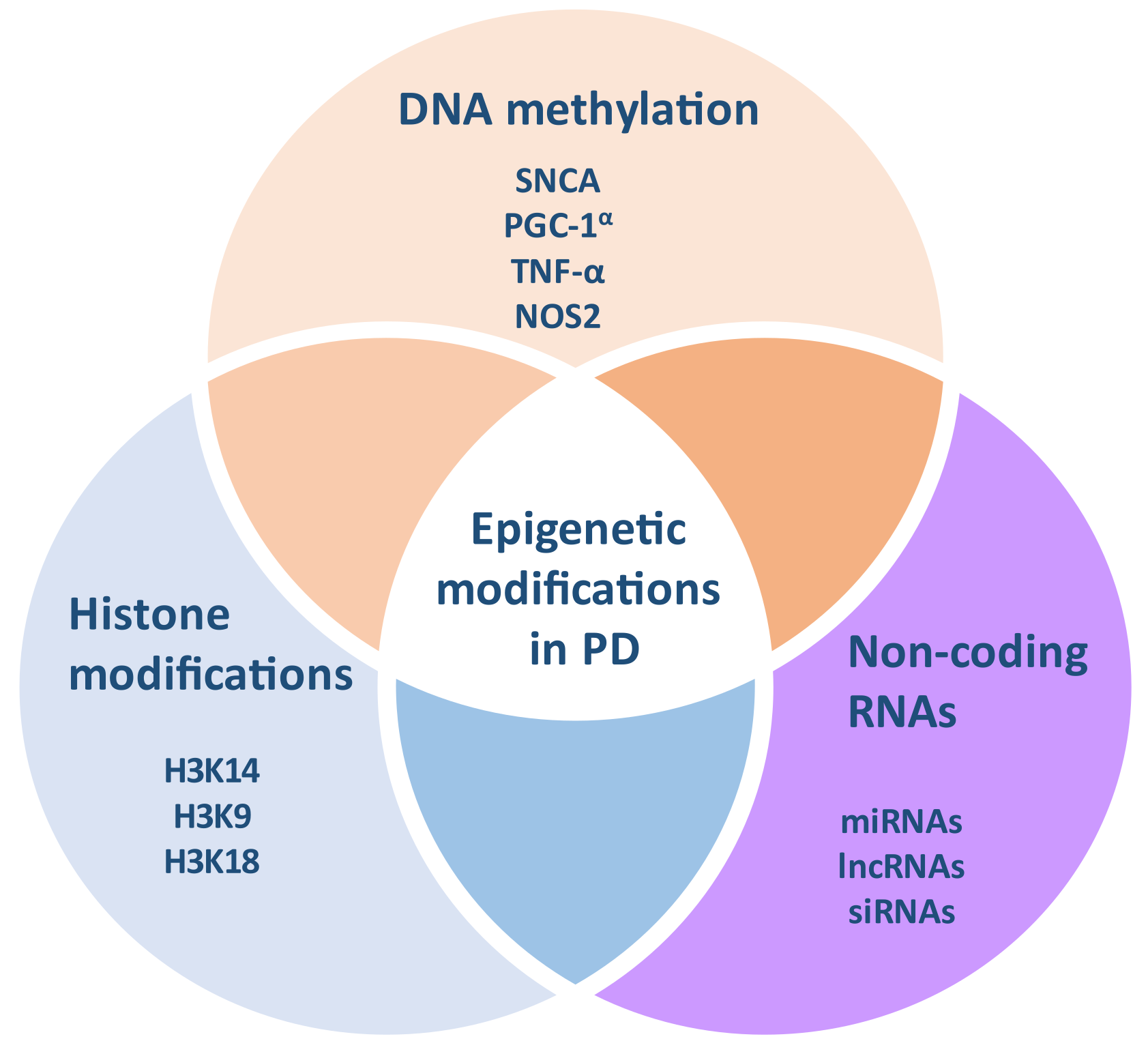 Brainsci 12 00175 g001 Brainsci 12 00175 g001