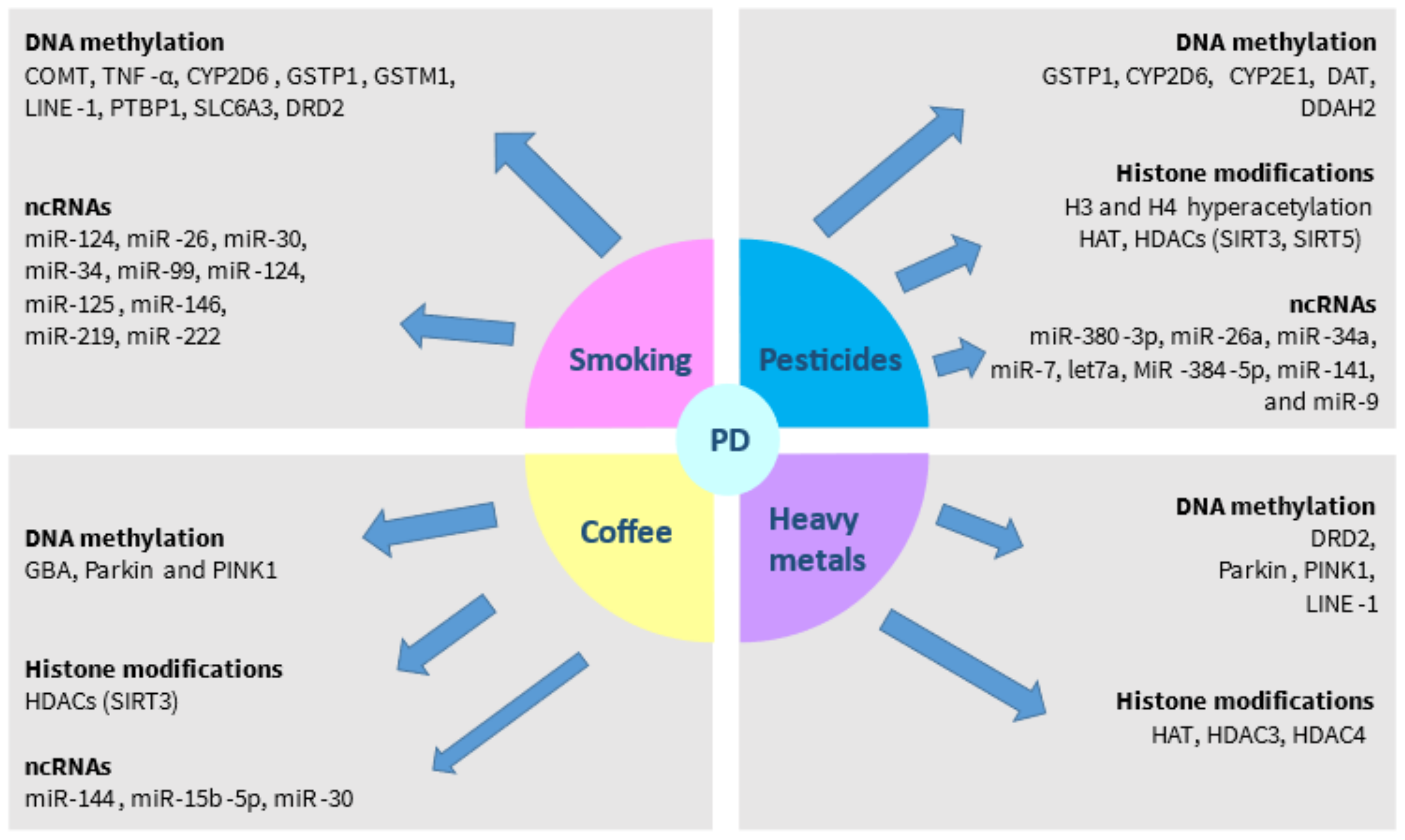 Brainsci 12 00175 g002 Brainsci 12 00175 g002