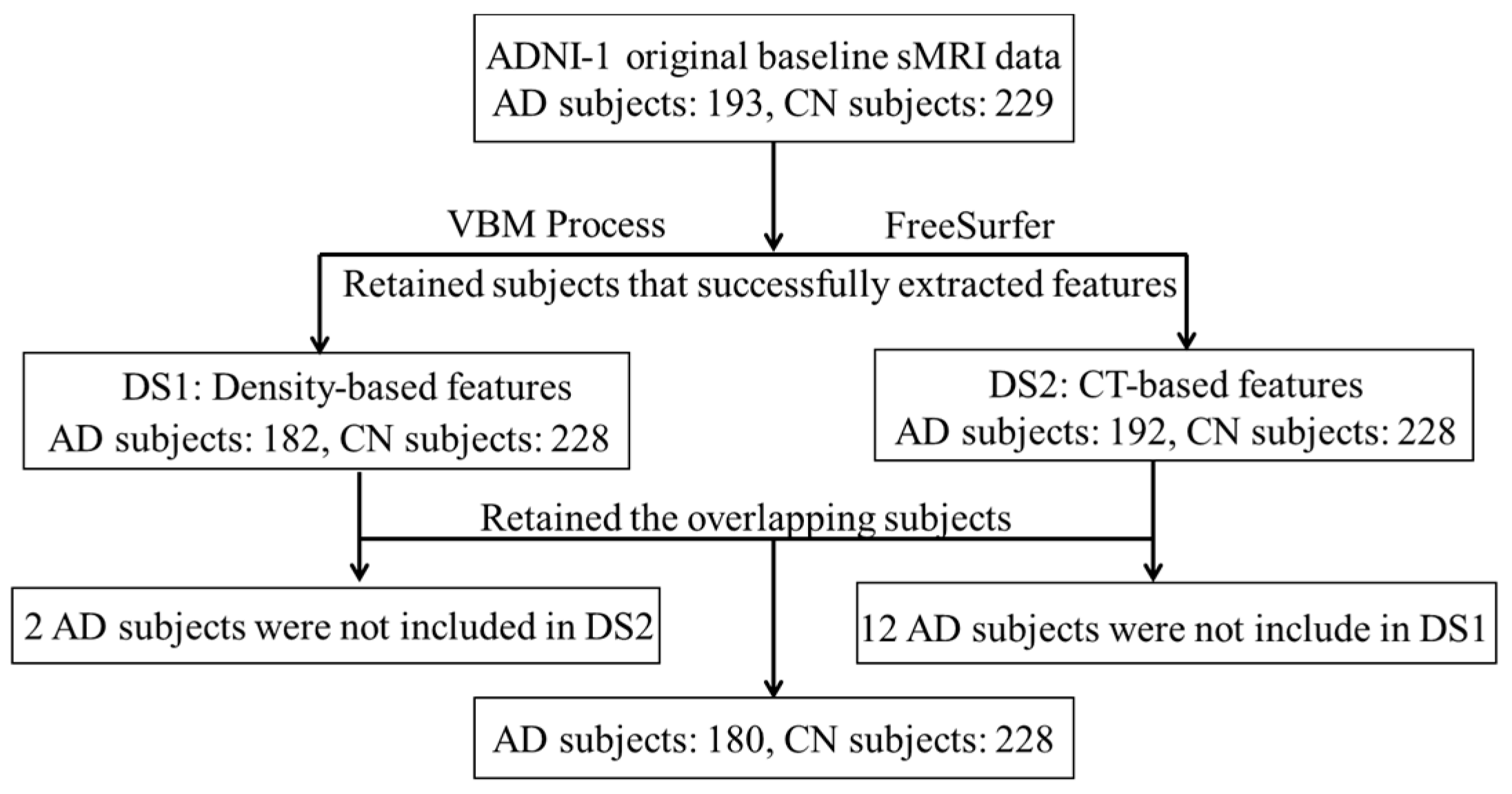 Brainsci 12 00187 g001